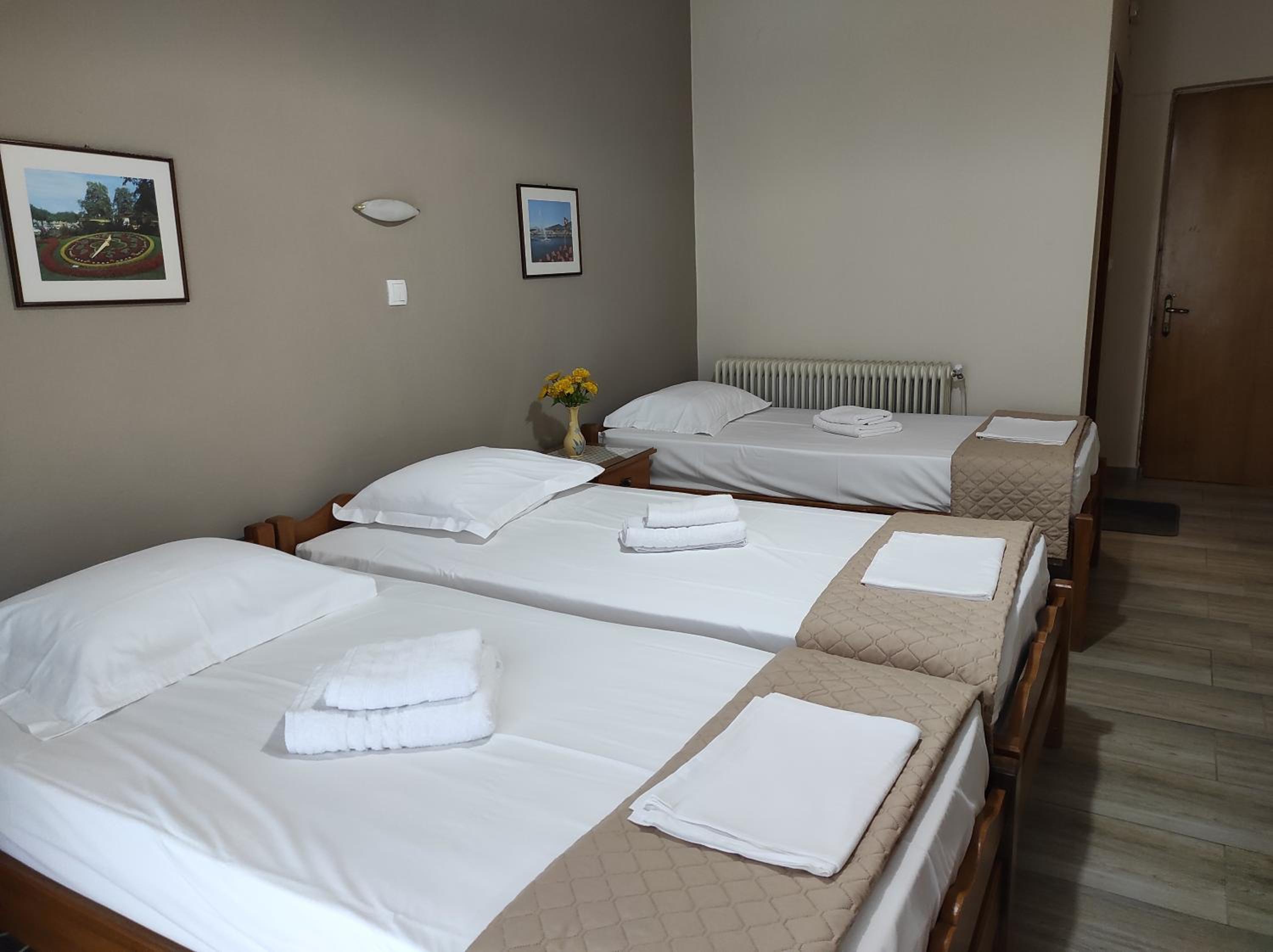 Triple Room with Mountain View