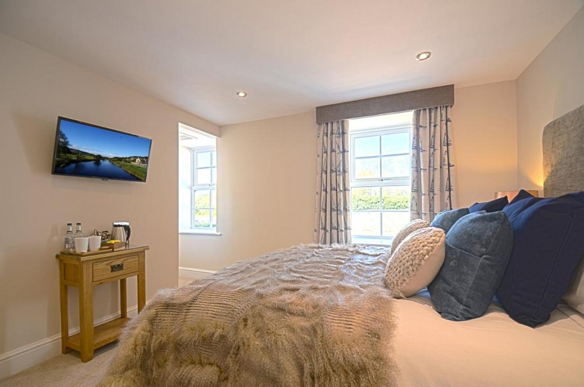 King Room photo 3