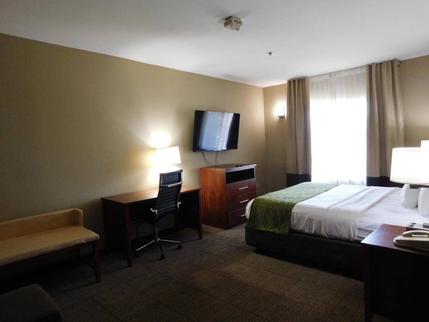 Efficiency King Suite - Non-Smoking - Photo 6