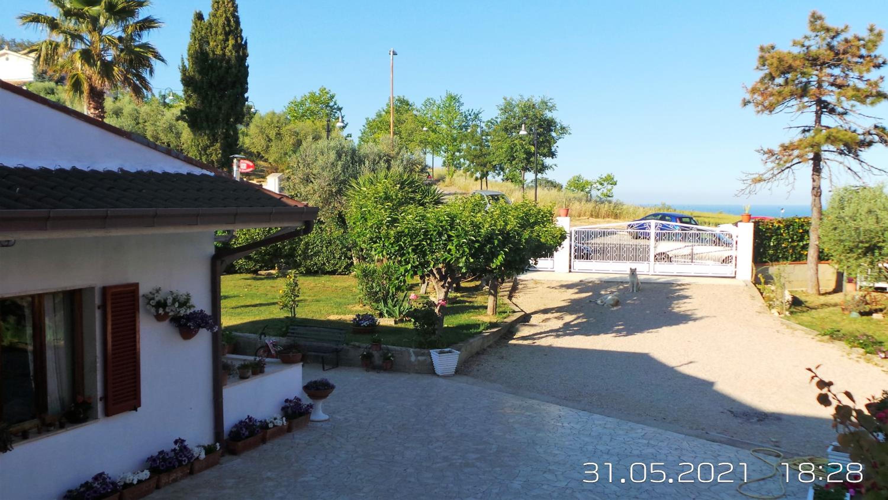 Double Room with Balcony photo 3