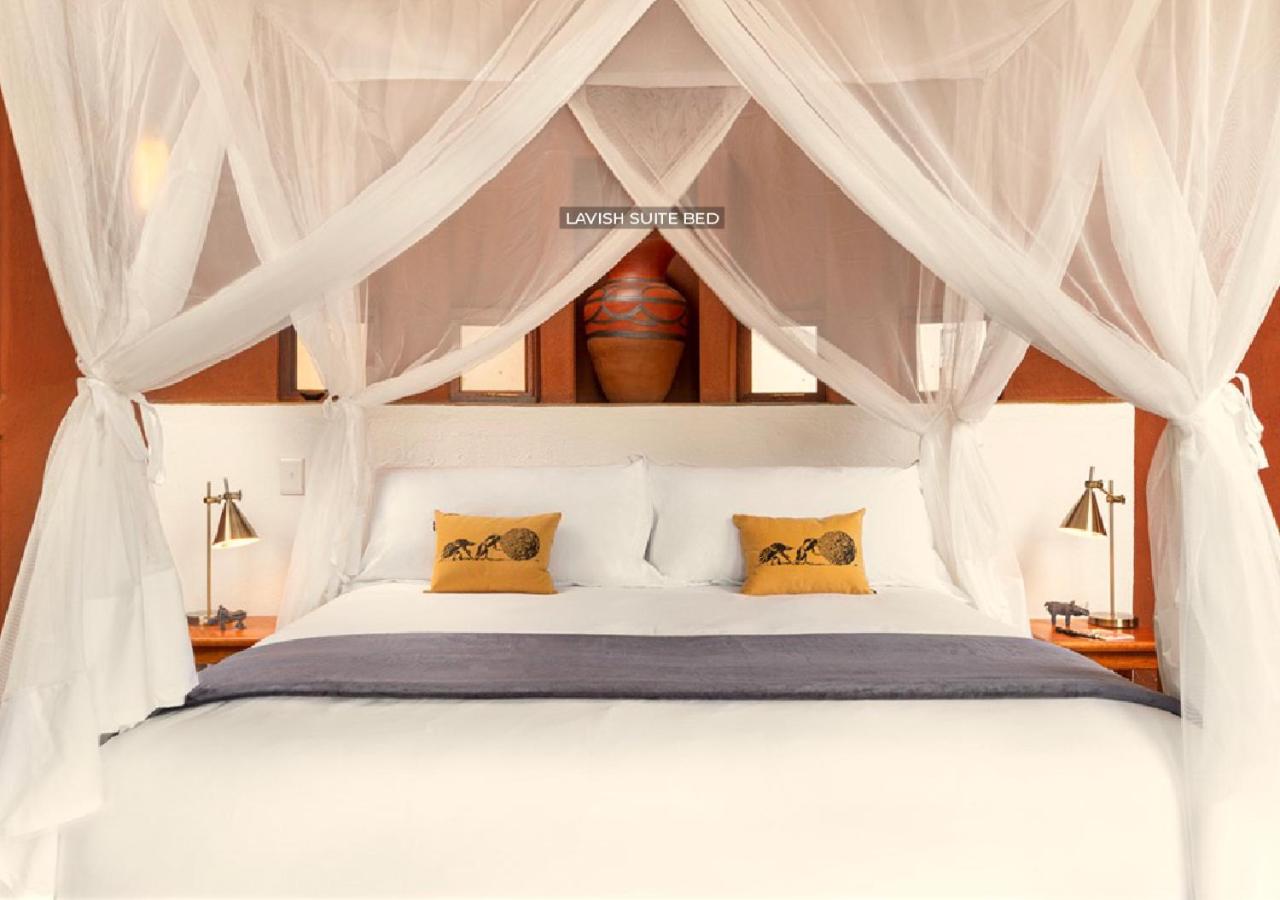 Suite photo 1