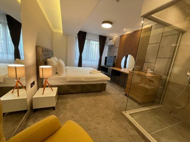 Deluxe Double or Twin Room - Photo 6