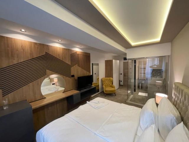 Deluxe Double or Twin Room - Photo 21