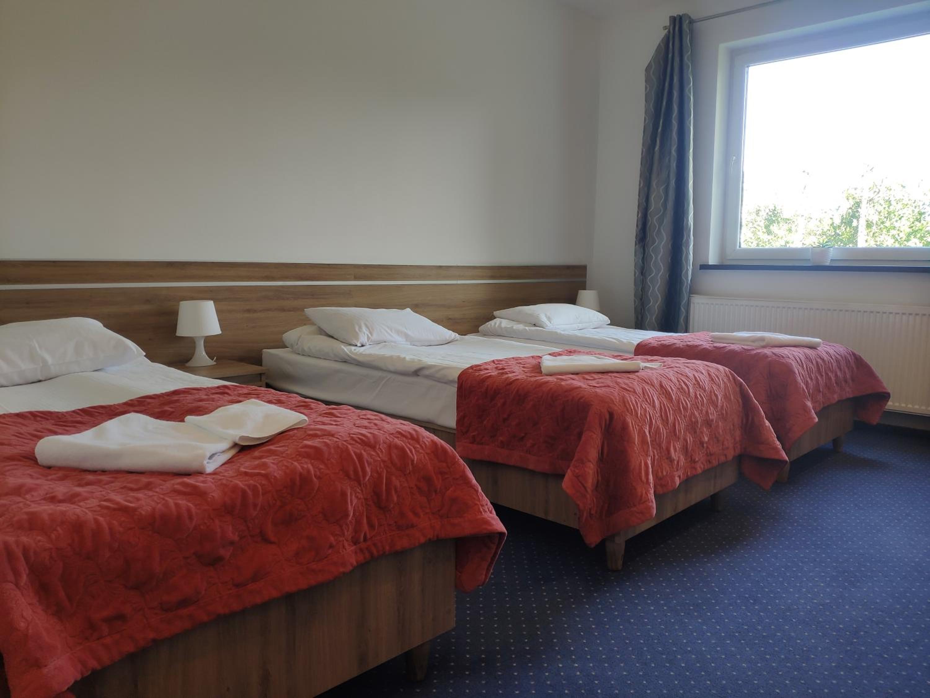 Triple Room photo 3