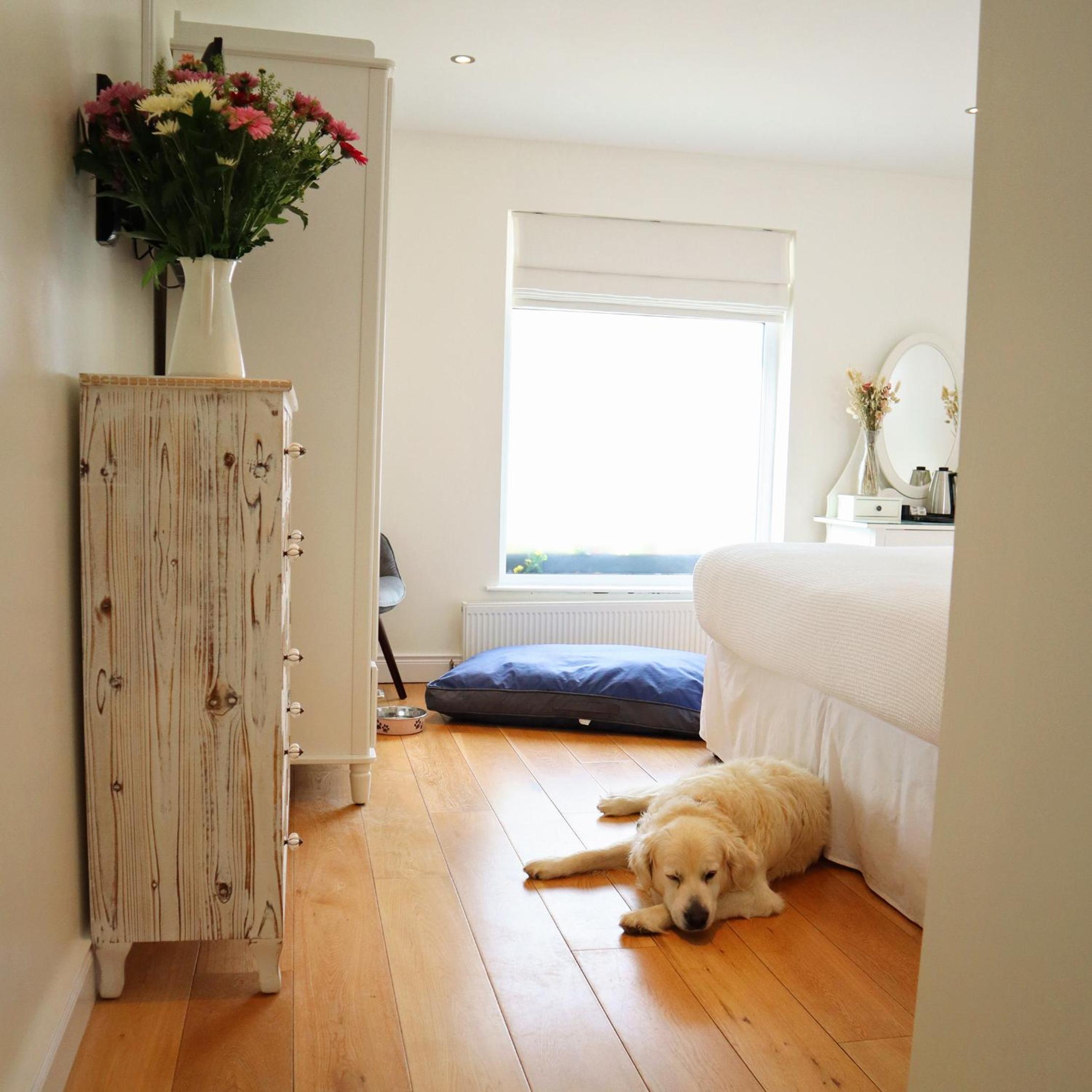 Twin Room with Shower - Photo 5