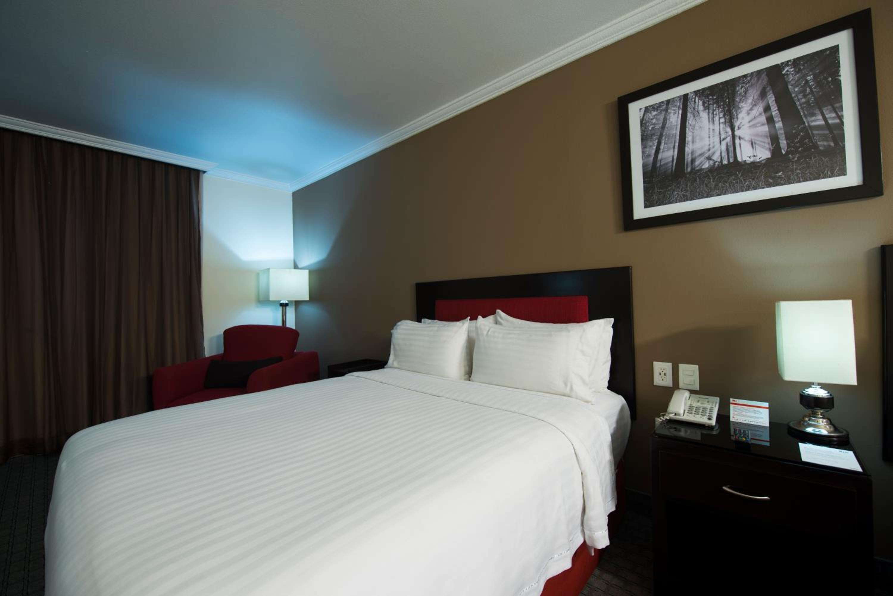 King Room - Mobility Access/Non-Smoking - Photo 3