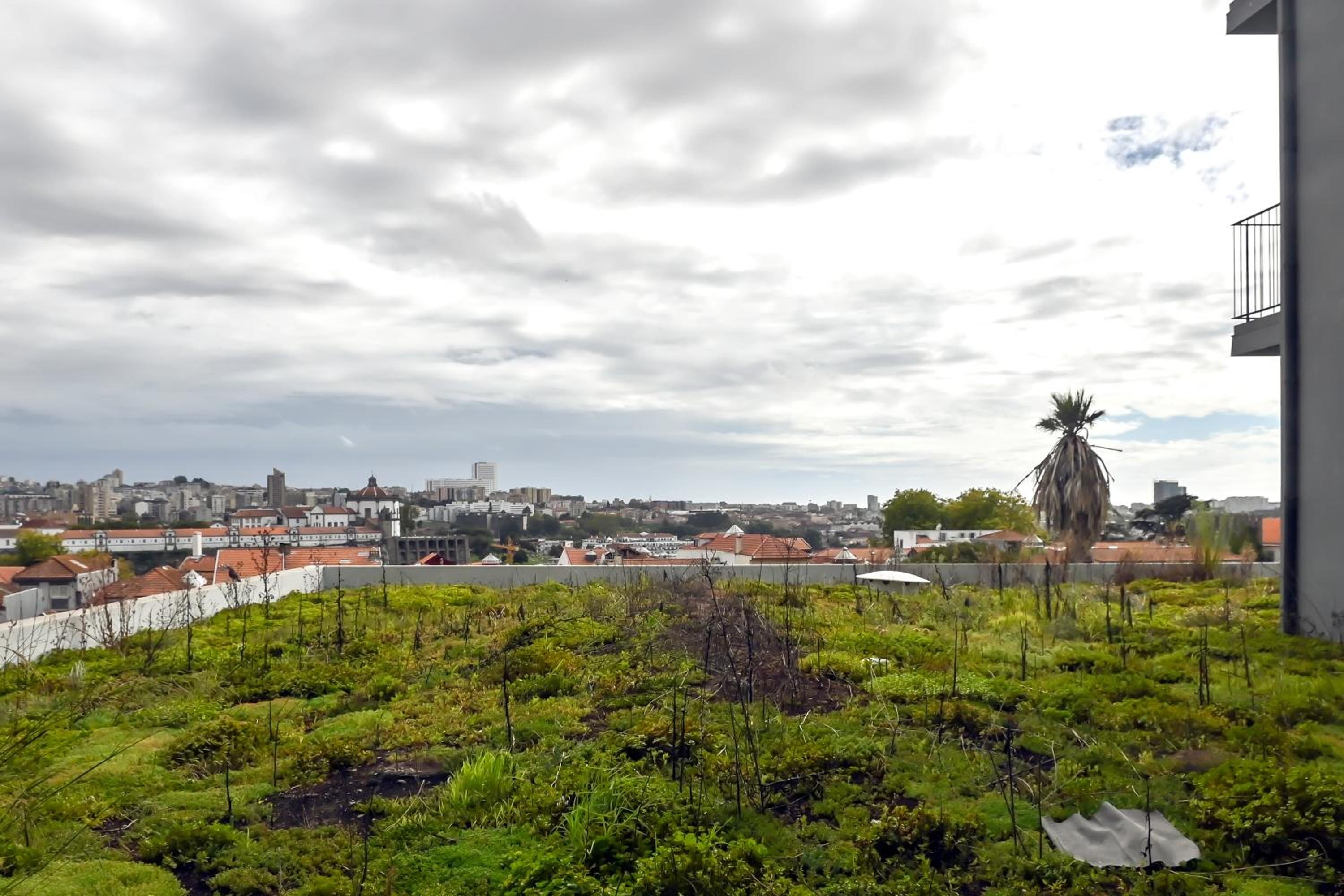 Apartment with Garden View - Photo 20