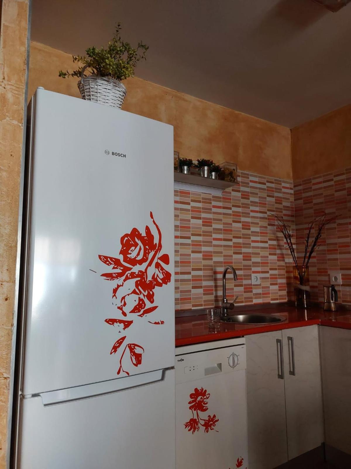Duplex Apartment photo 3