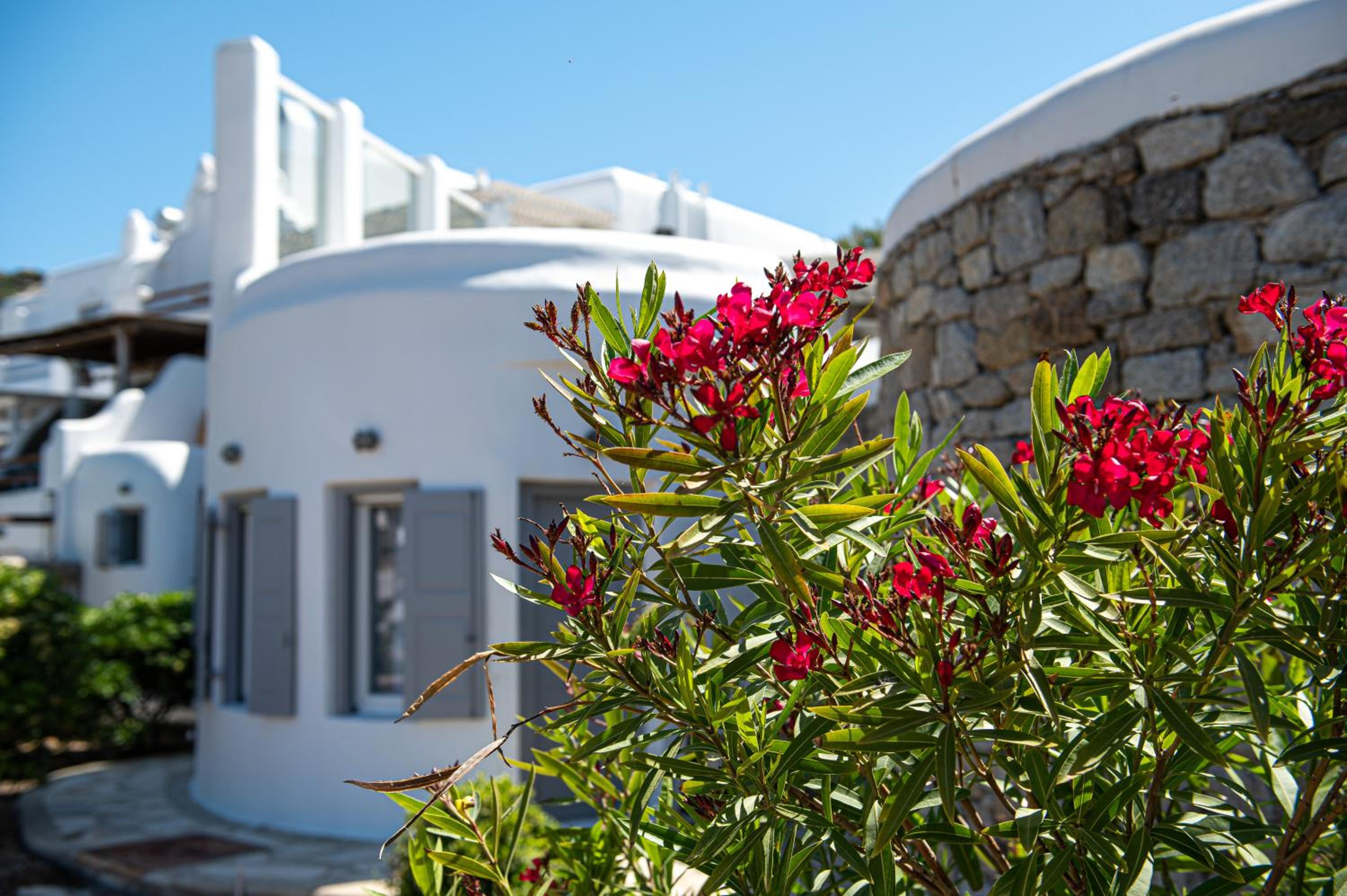 Four-Bedroom Villa with Private Pool - Photo 9