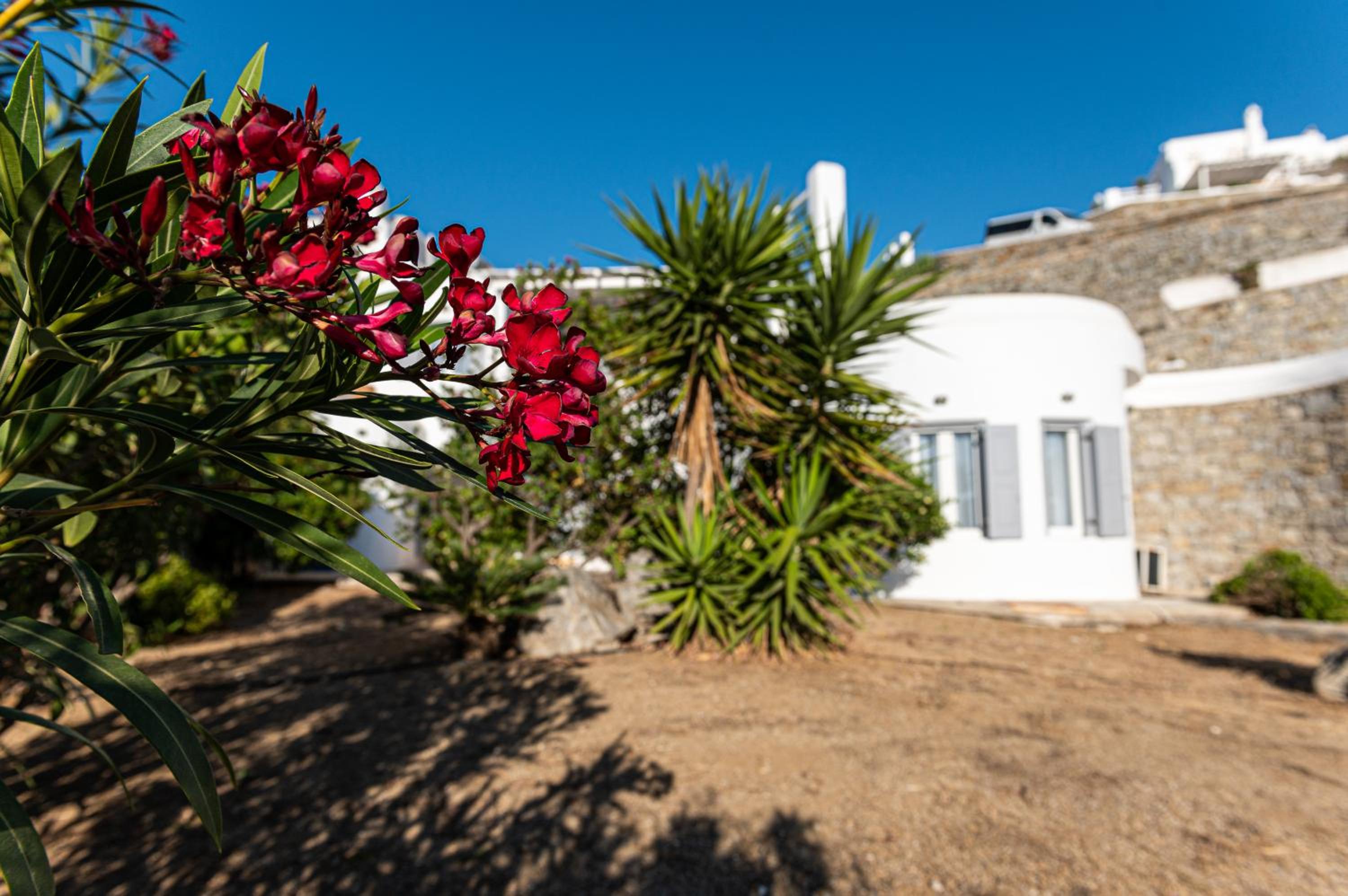 Four-Bedroom Villa with Private Pool - Photo 5