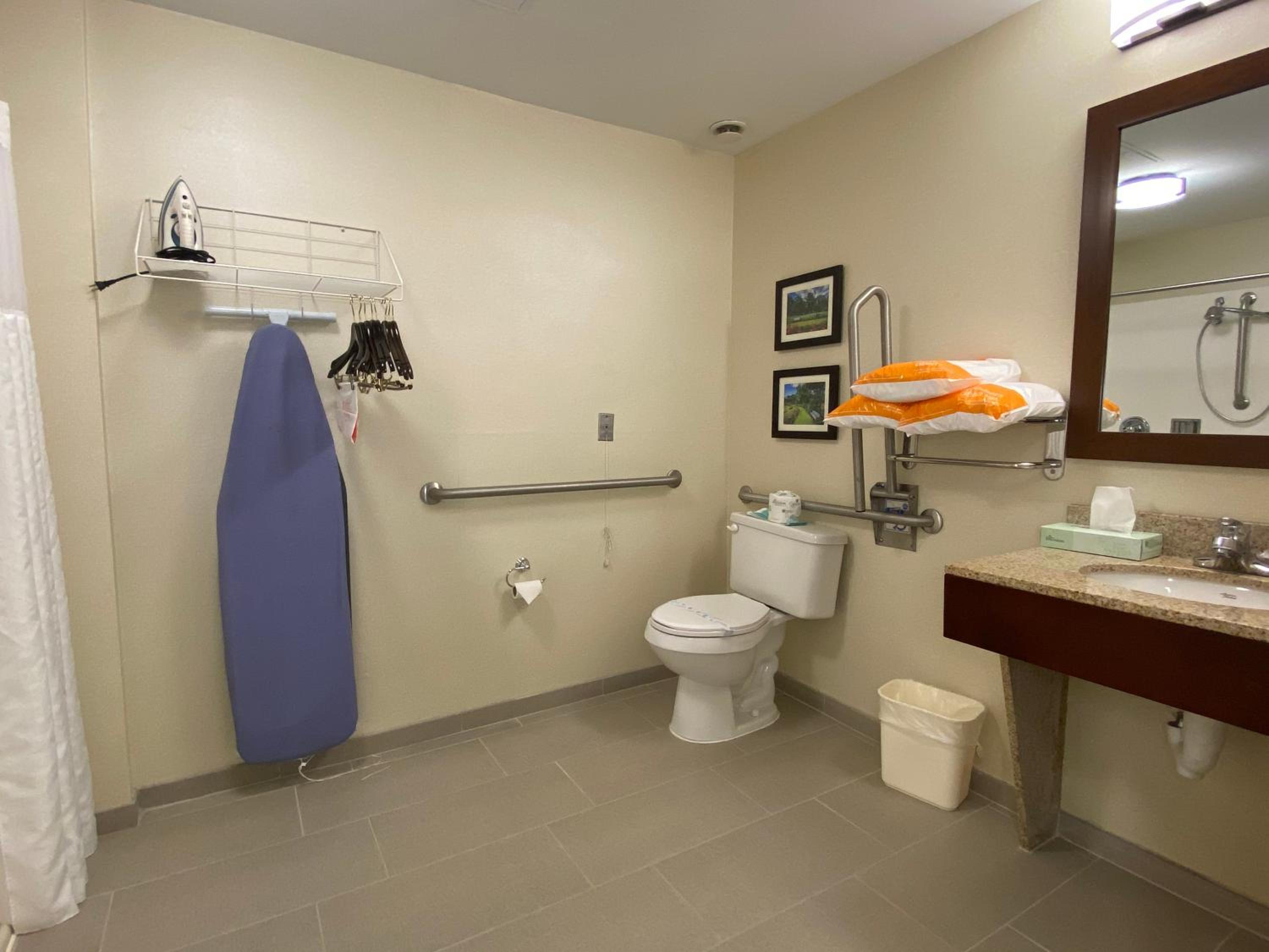 King Suite - Accessible/Non-Smoking - Photo 8