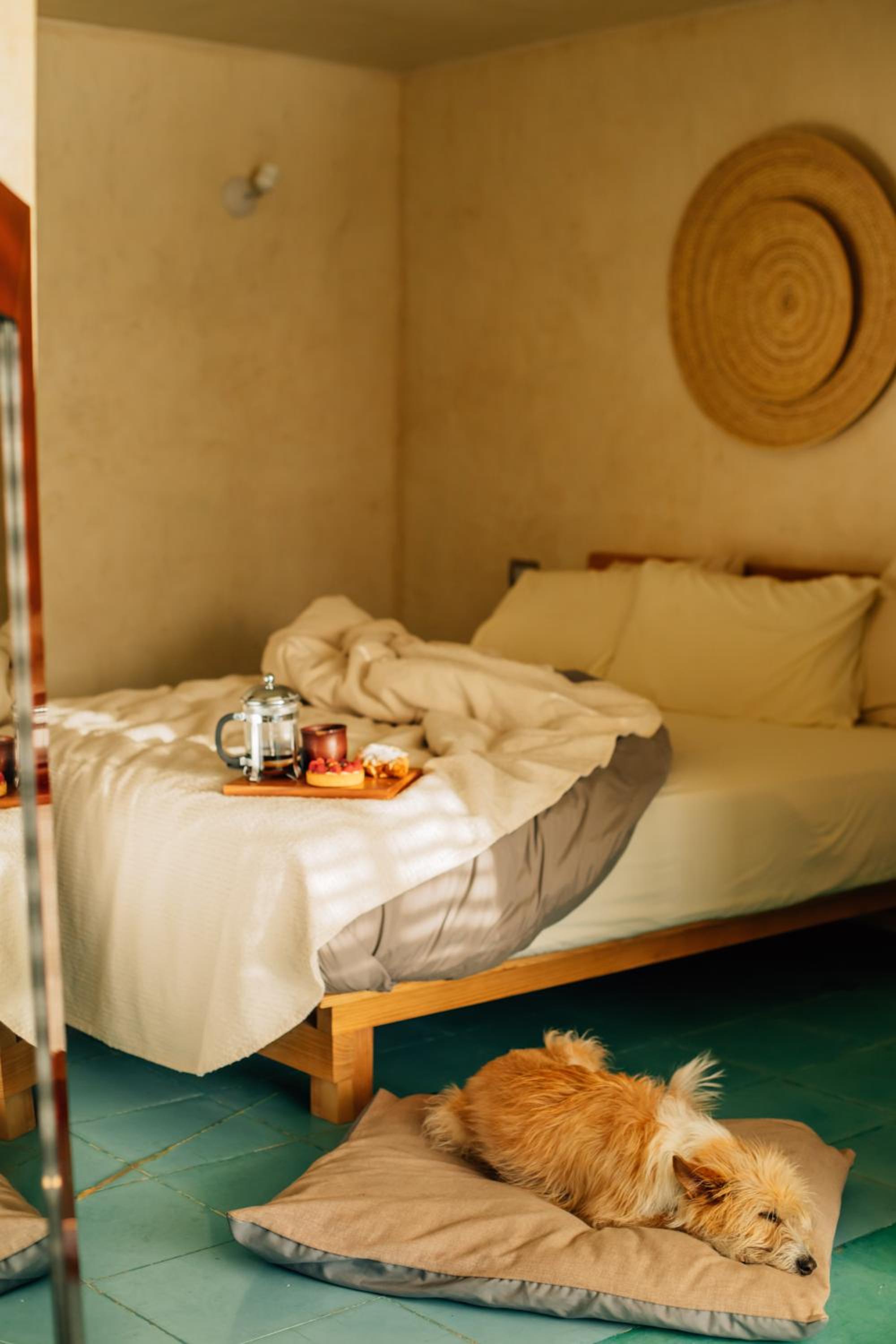 Junior Suite with Balcony - Photo 1