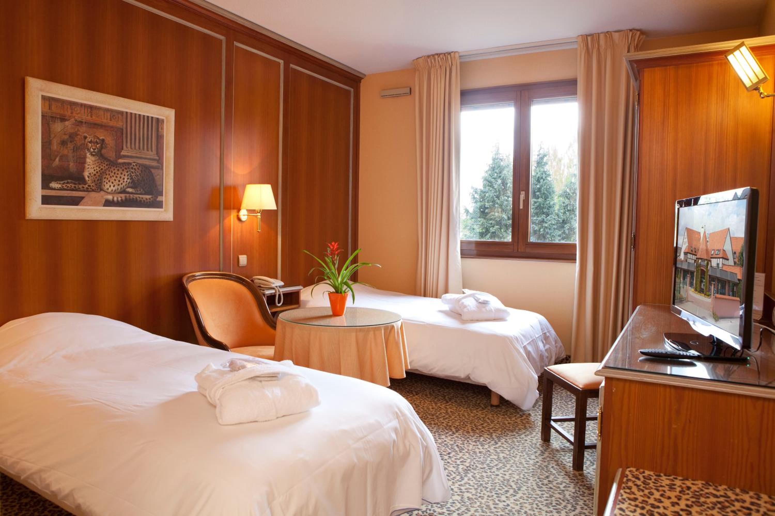 Standard Double Or Twin Room