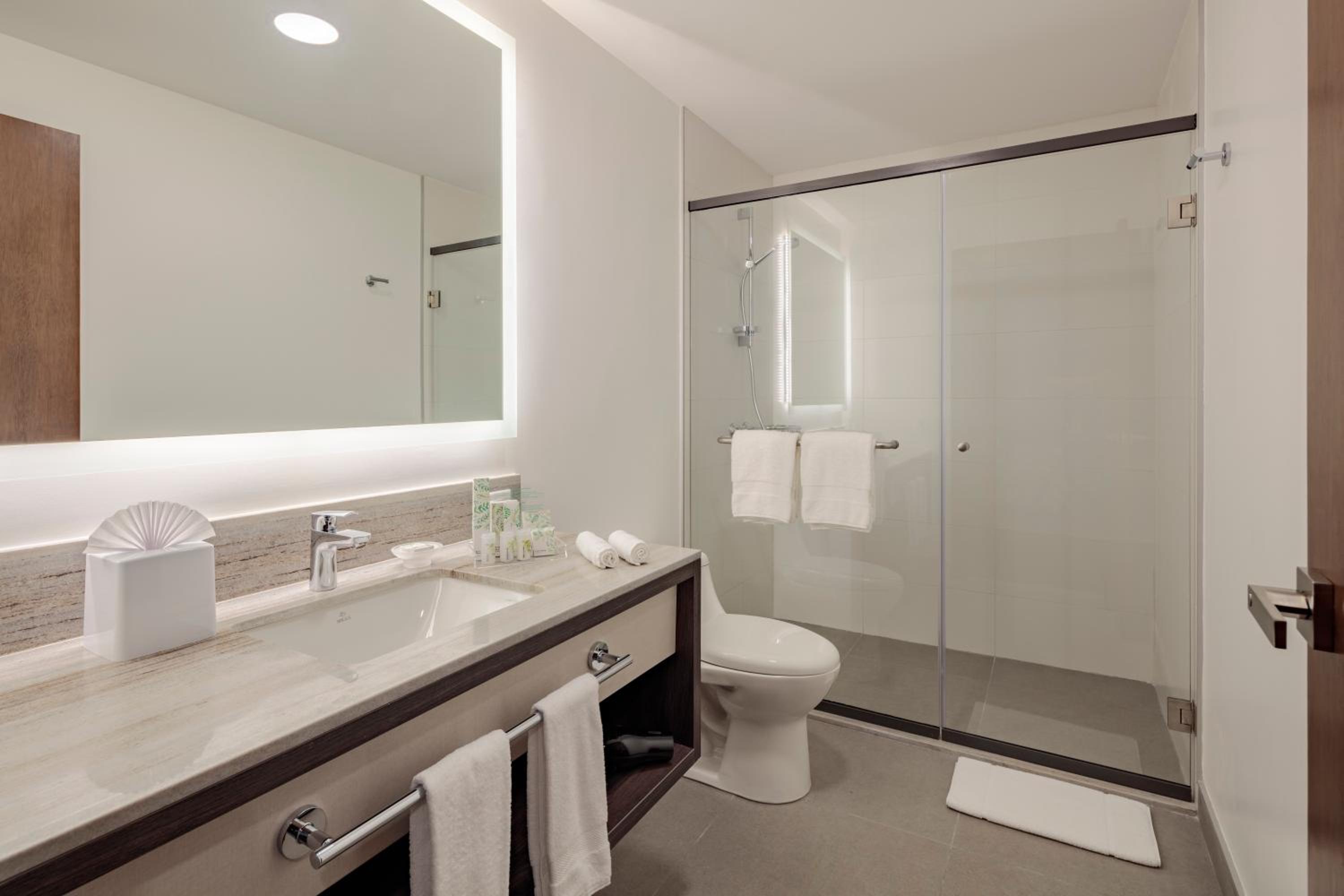 King Suite - Photo 7
