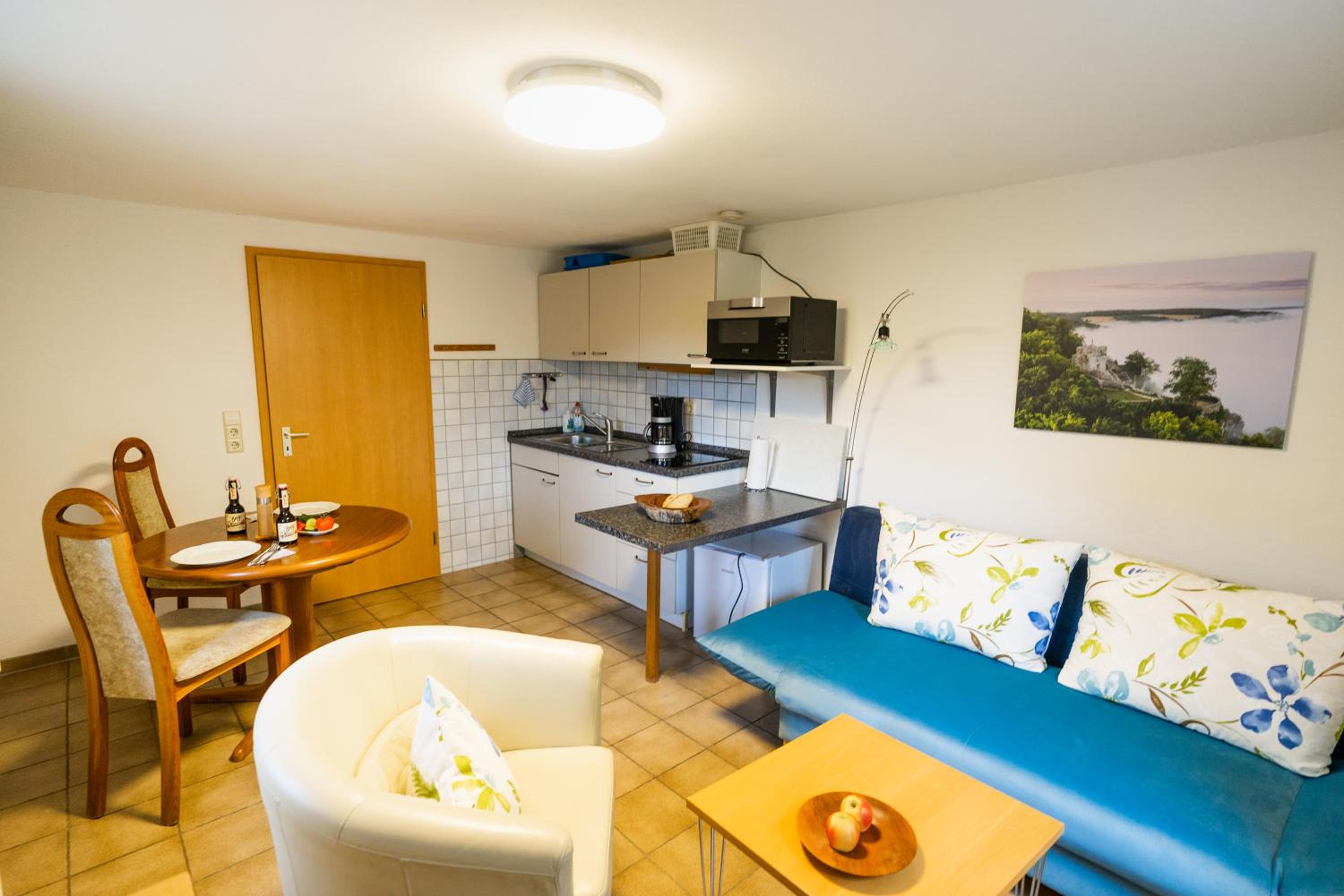 One-Bedroom Apartment photo 2