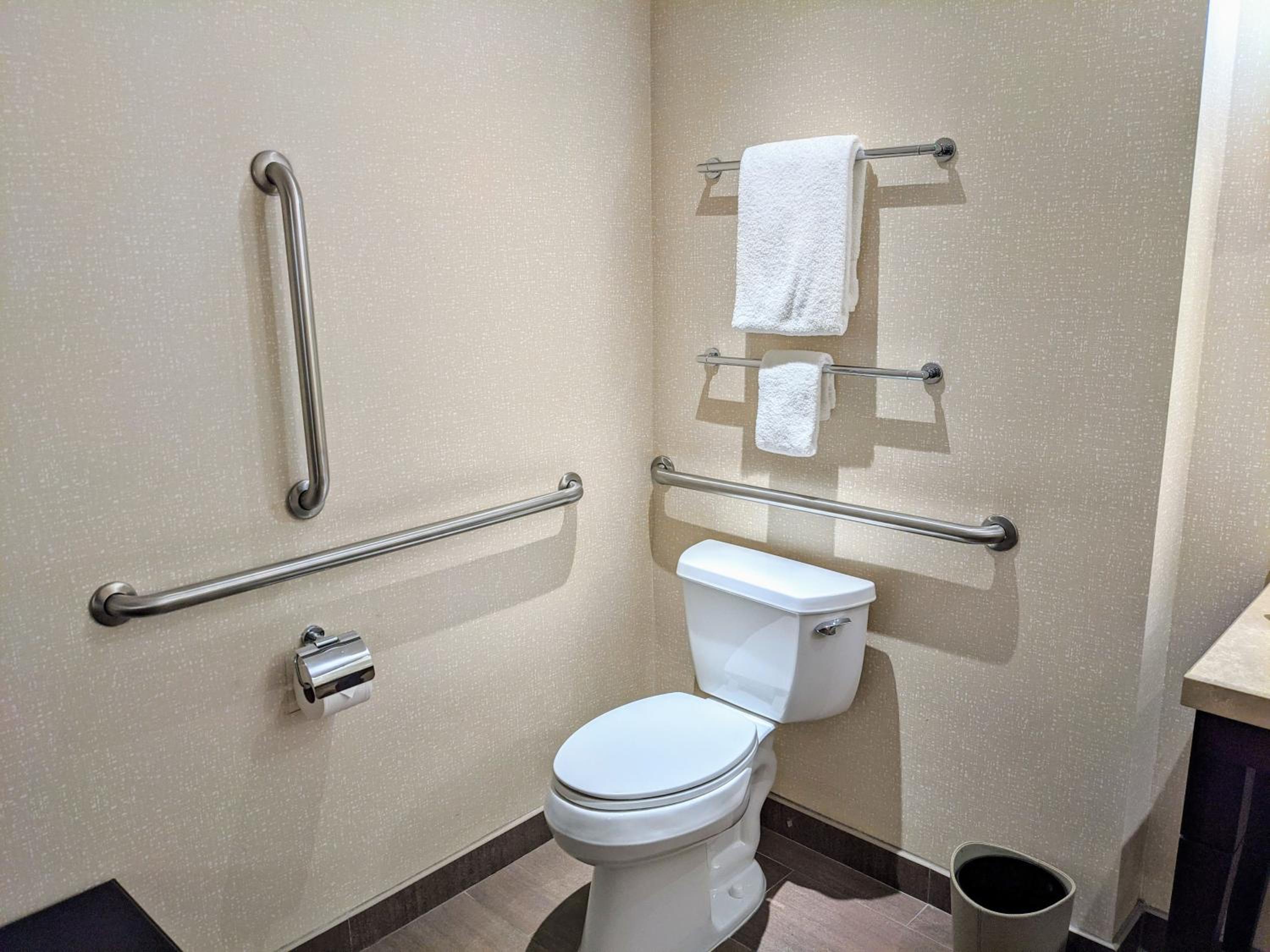 Accessible Deluxe Room with Roll in Shower 1 King Bed