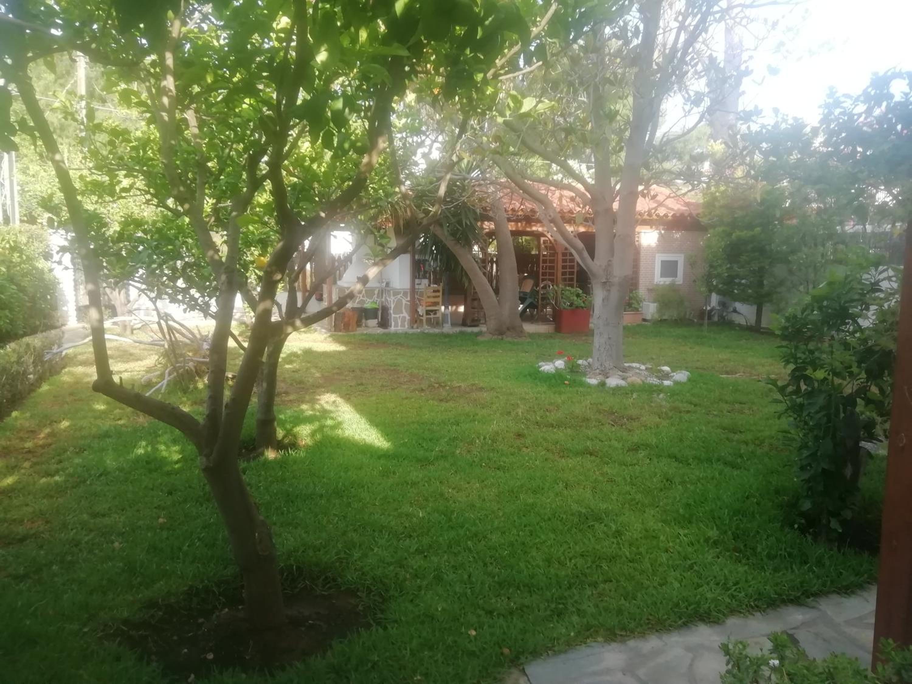 Studio with Garden View - Photo 7