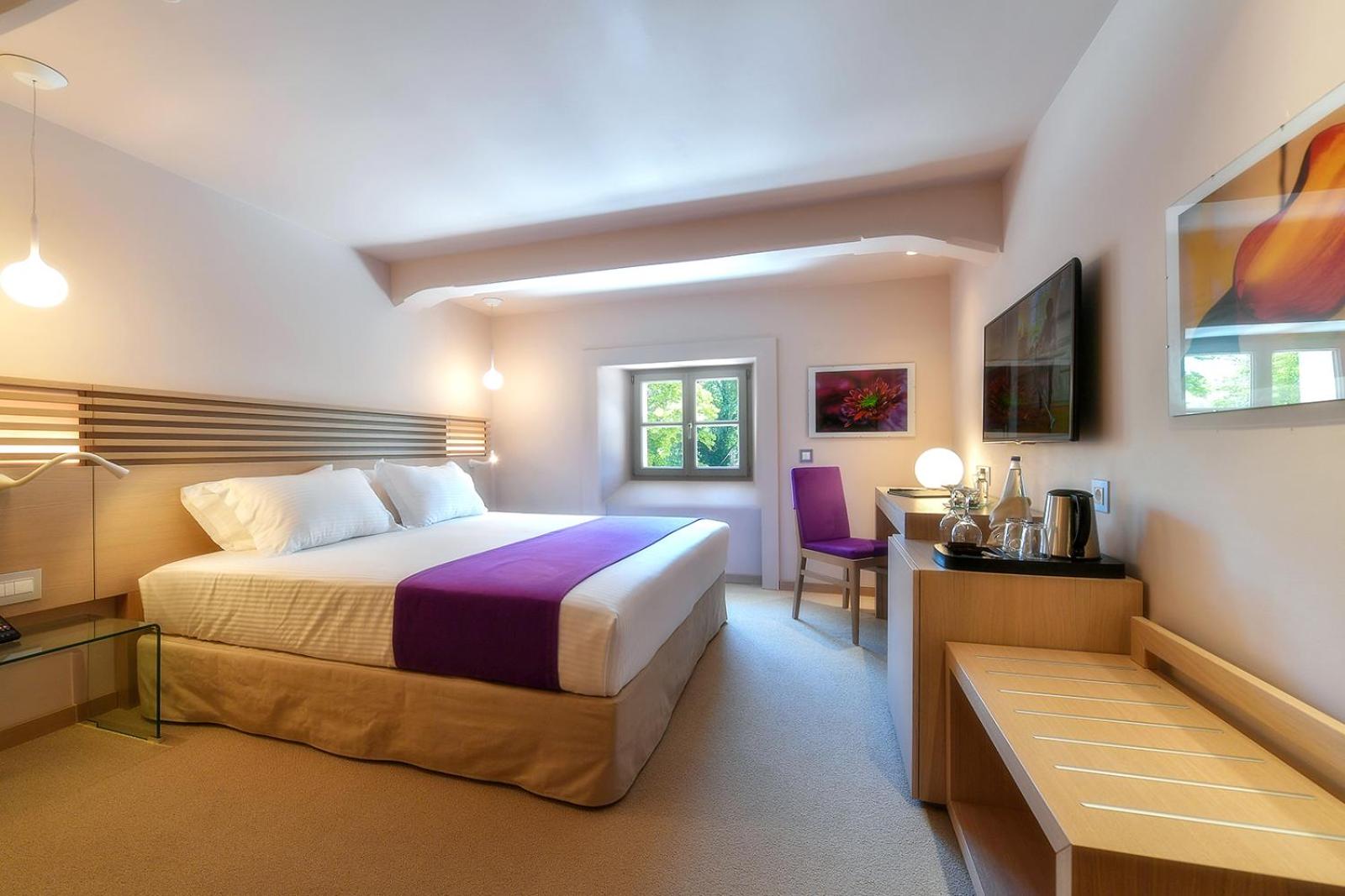 Standard Double Room with Spa Package "Blooming"