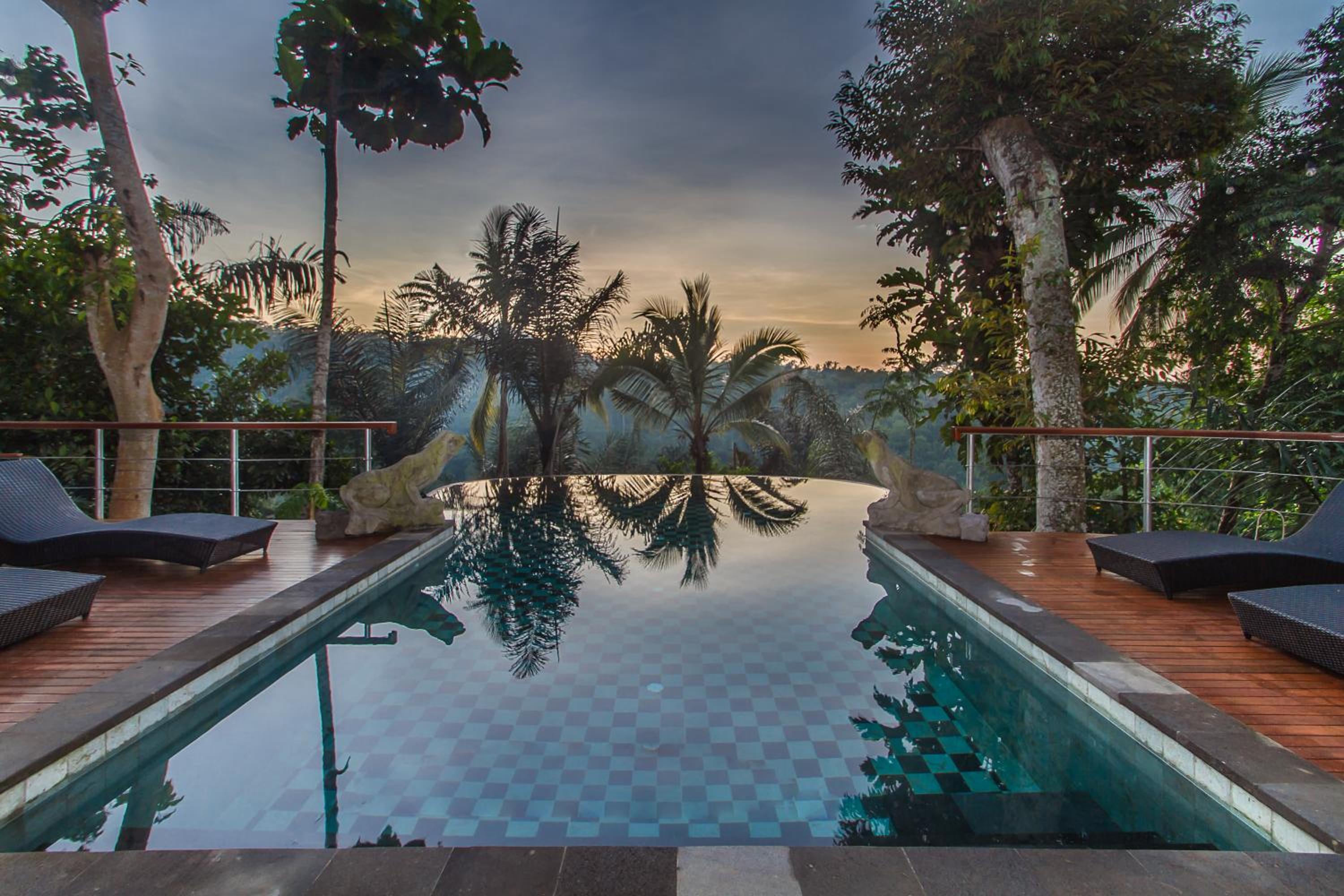 Honeymooner Rain Forest Deluxe with Free Mini-bar  - Photo 5