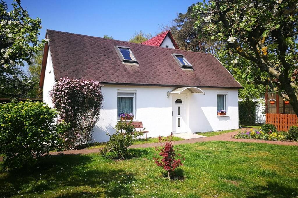 Two-Bedroom House photo 3