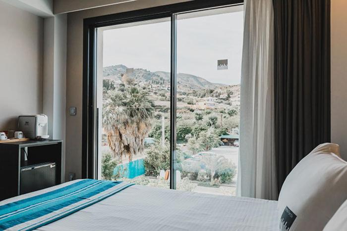 Habitación Doble con Vista a la Montaña