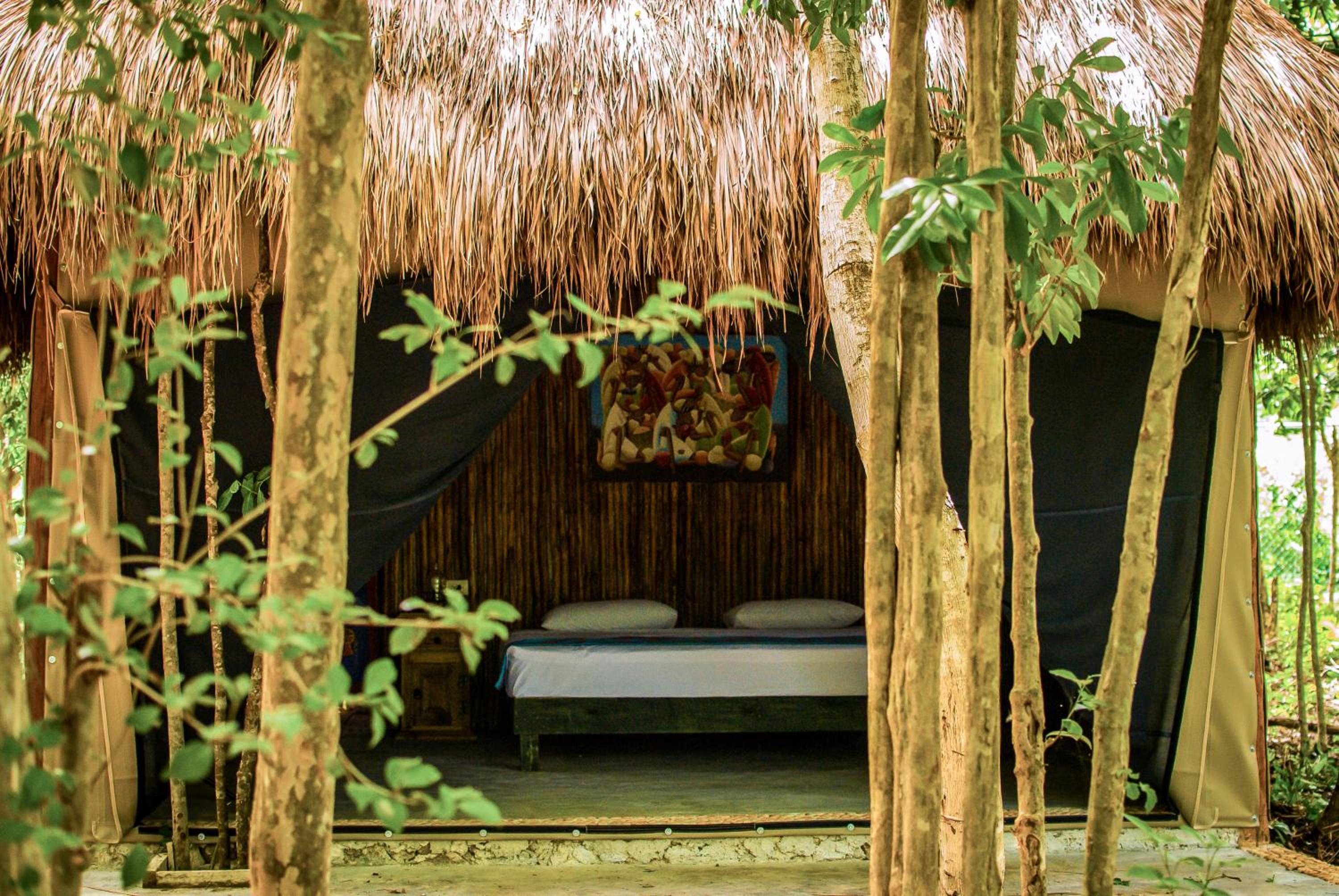 King Room with Garden View photo 2