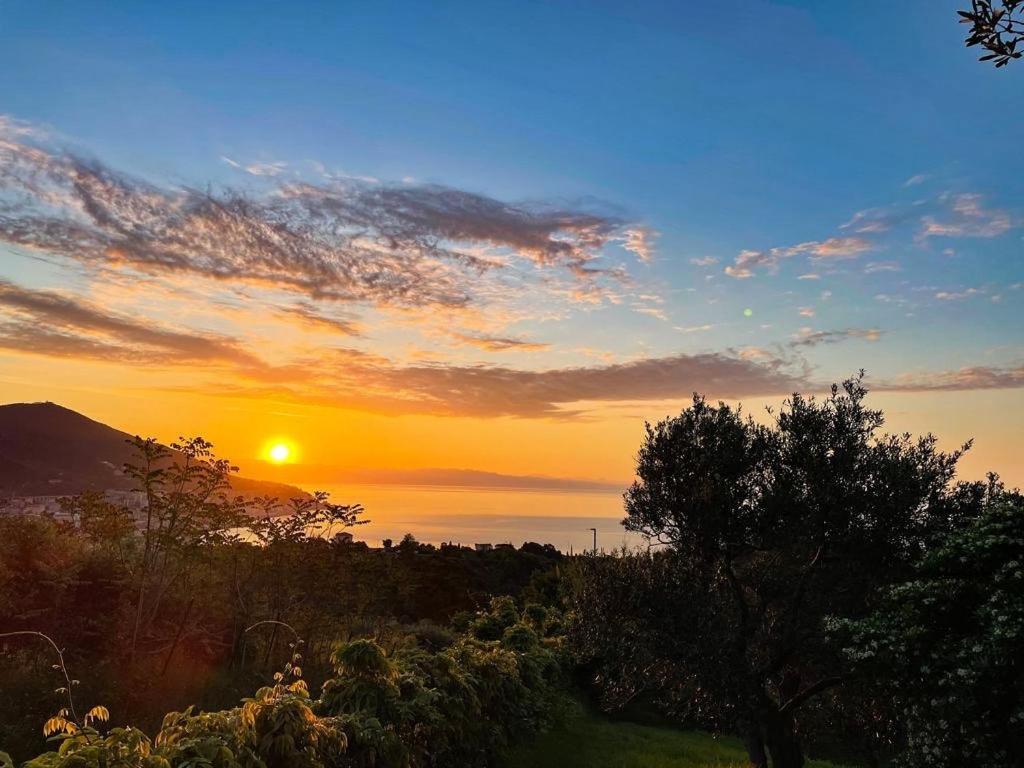 Deluxe Double Room with Sea View and Garden photo 3
