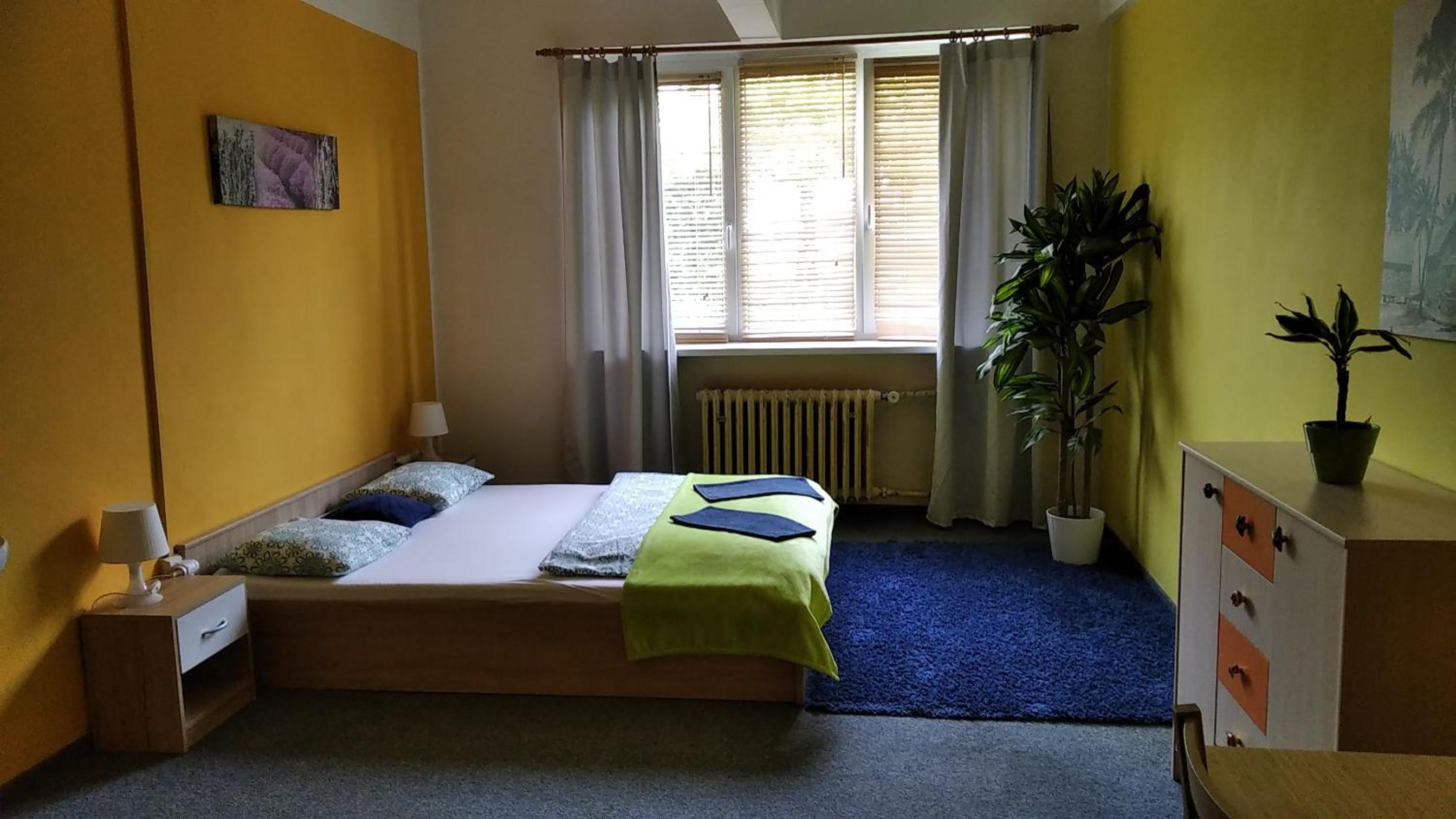 Standard Double Room with Shower