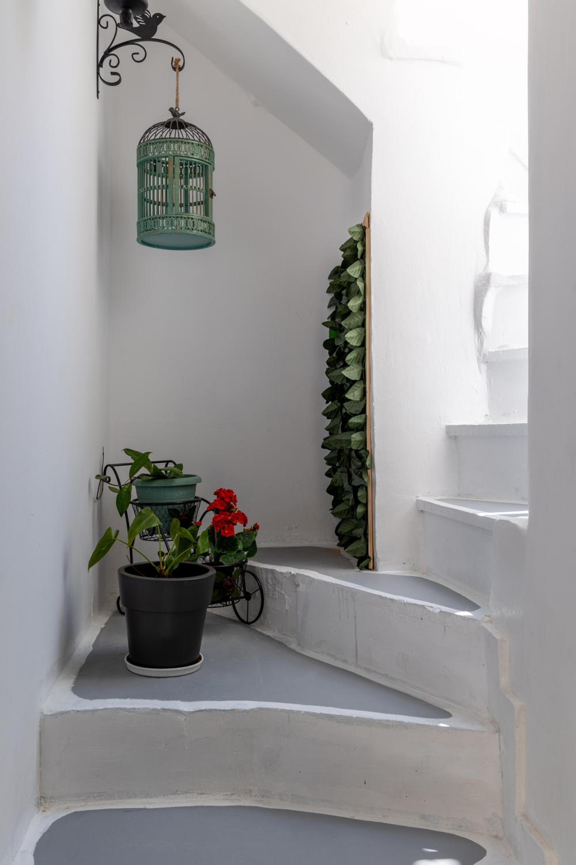 Apartment with Terrace photo 2