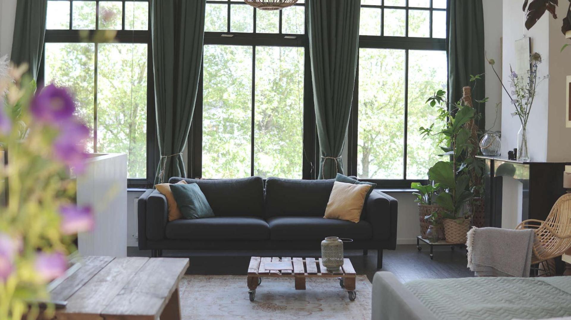 Deluxe King Studio - Photo 9