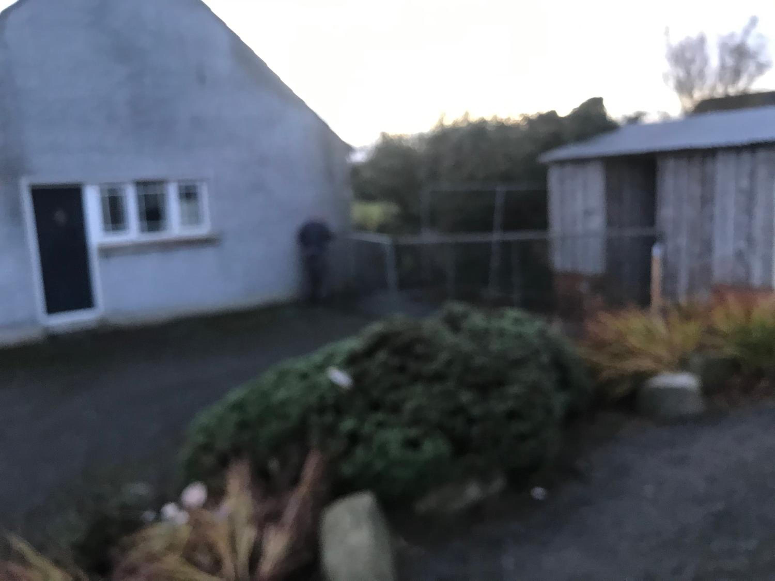 Two-Bedroom Cottage - Photo 4