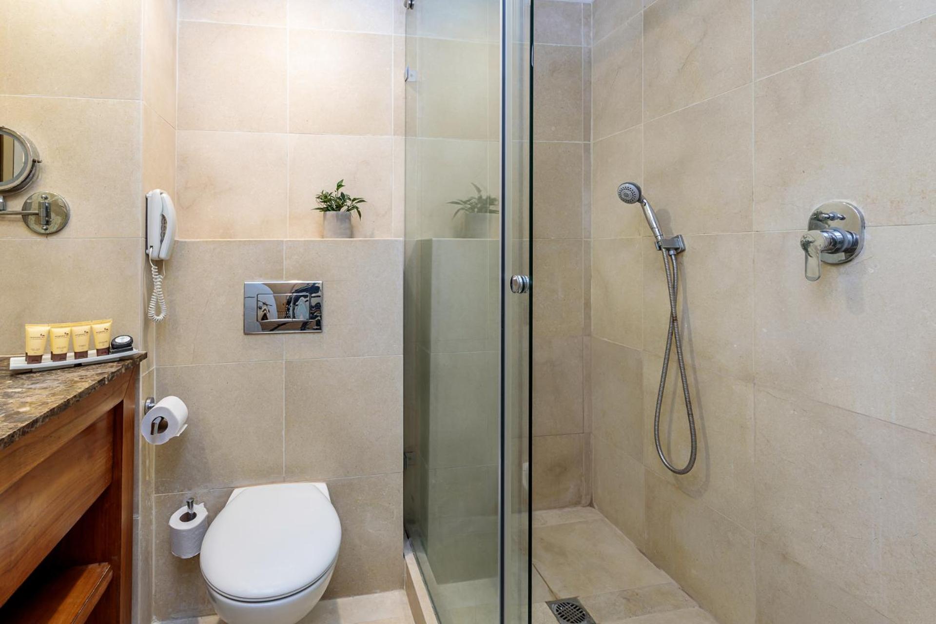 Deluxe Double or Twin Room - Photo 4
