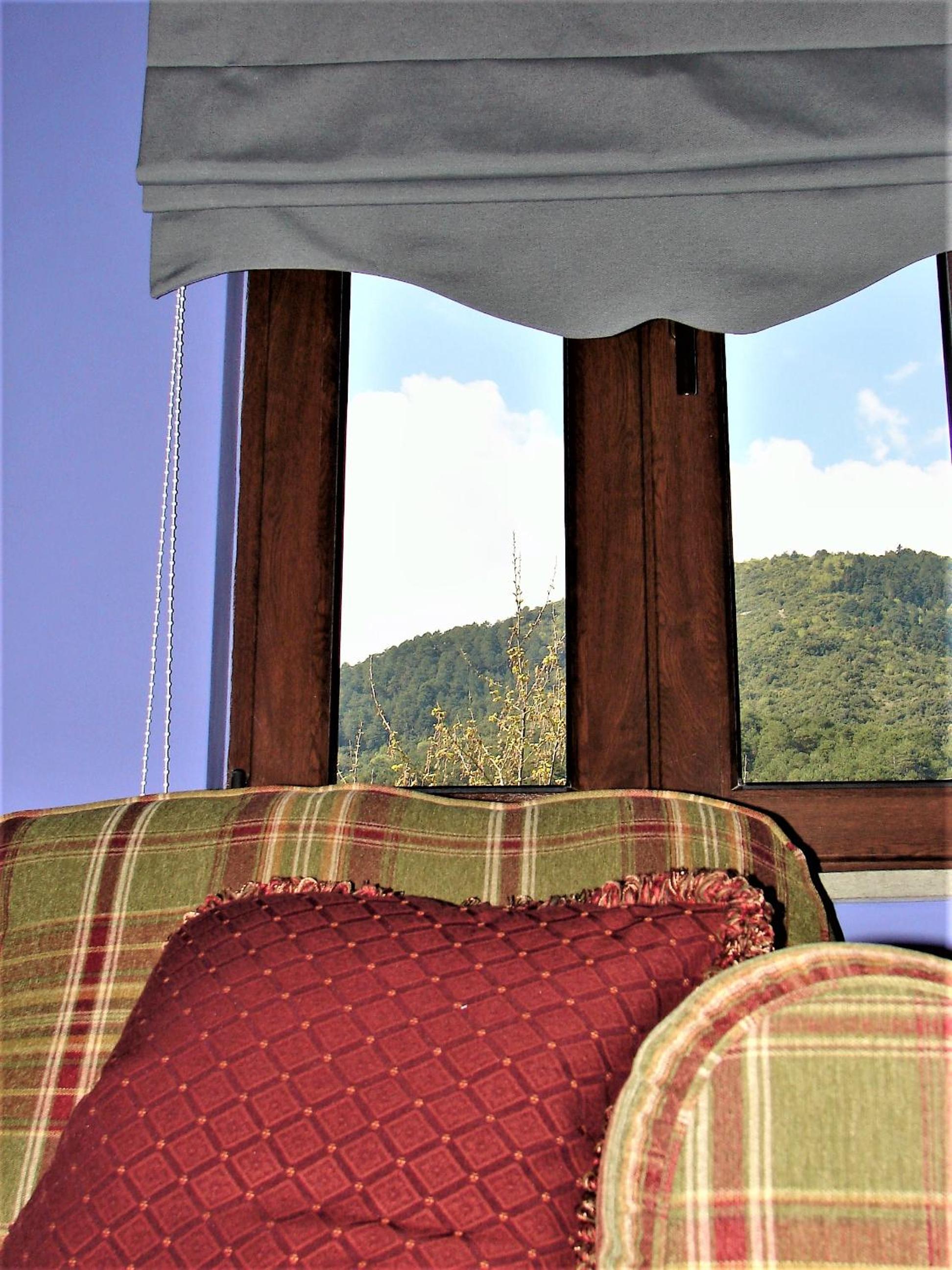 Family Room with Mountain View - Photo 7