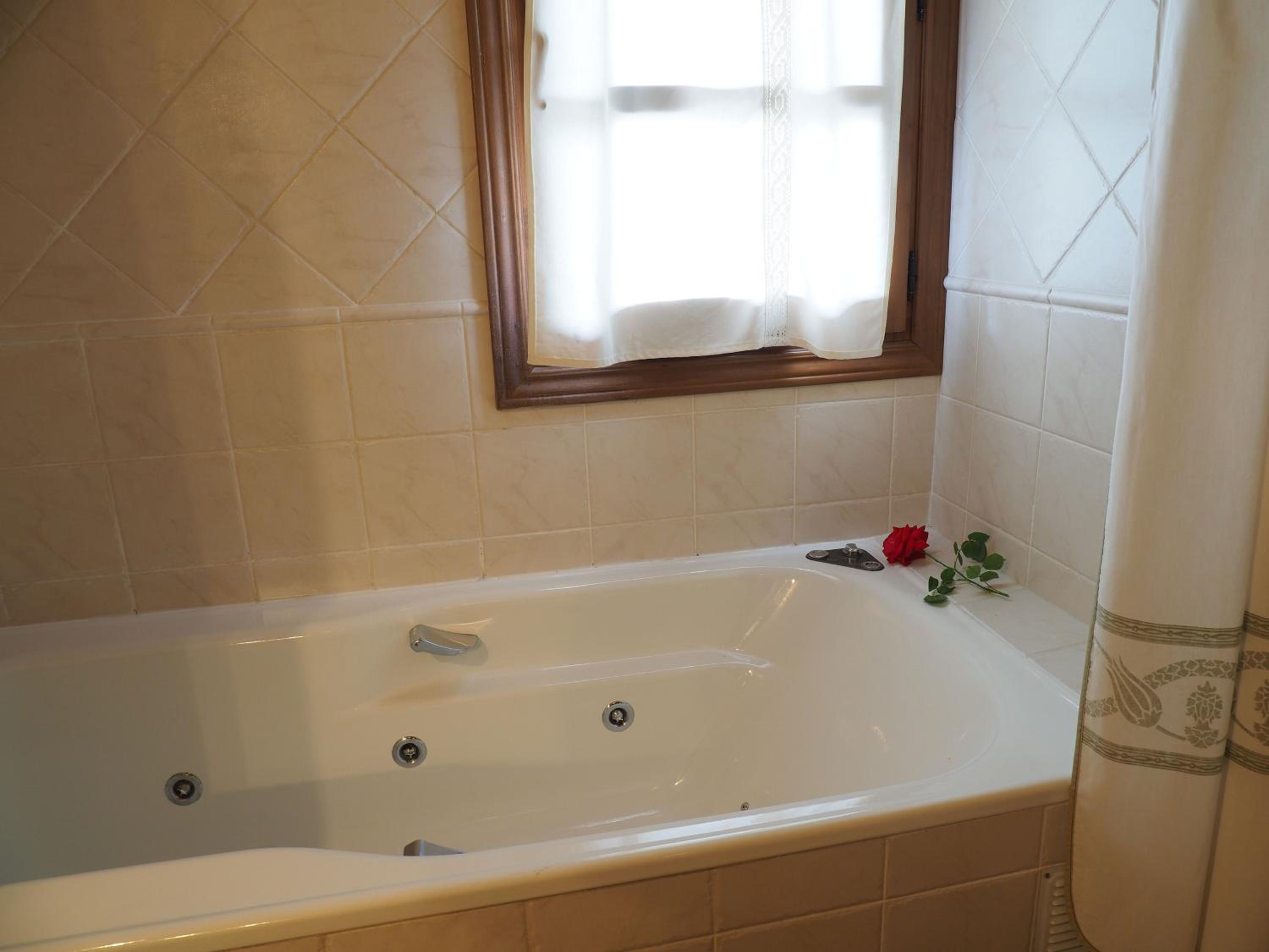 Suite - Photo 2