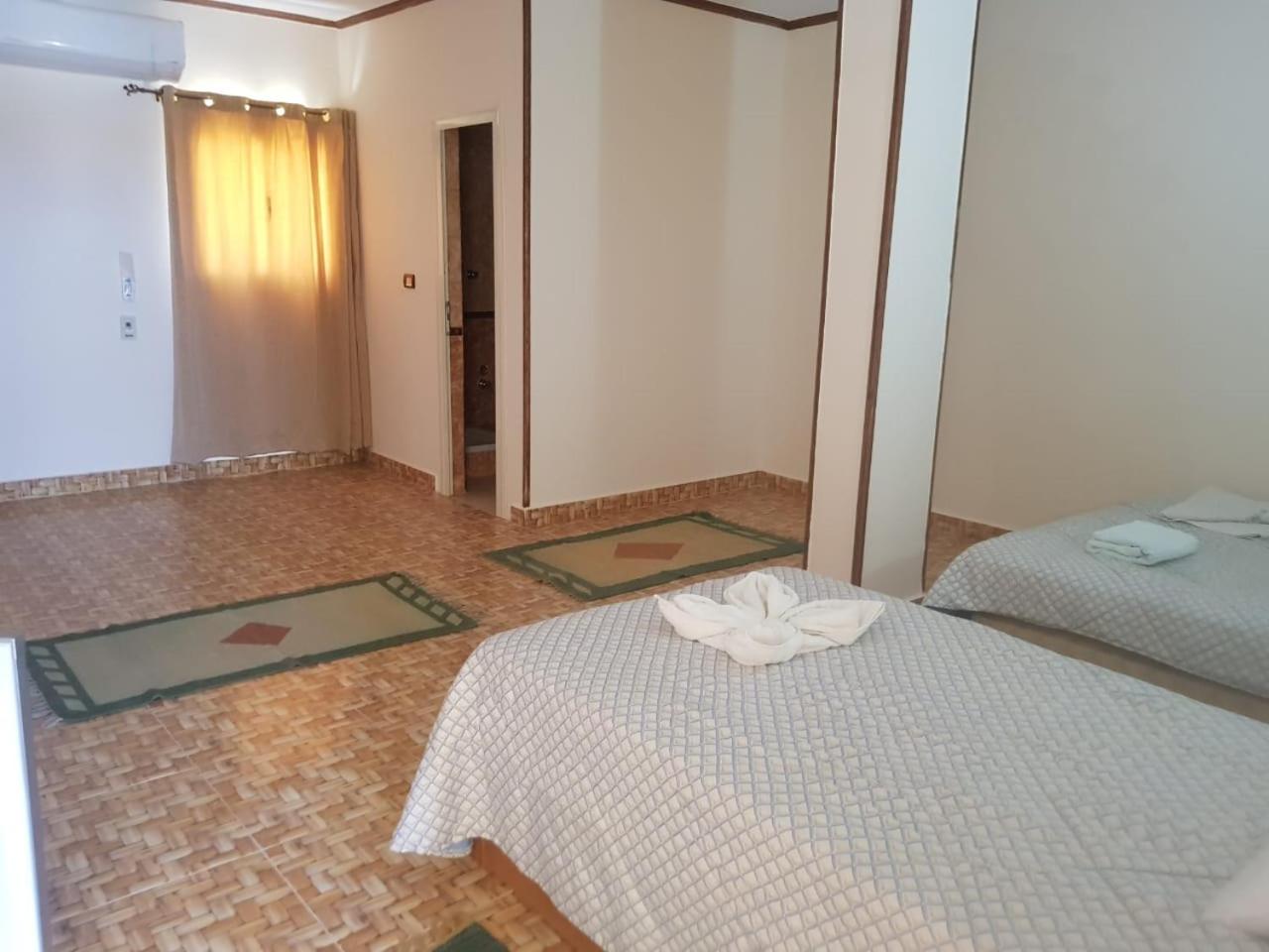 Suite - Photo 9