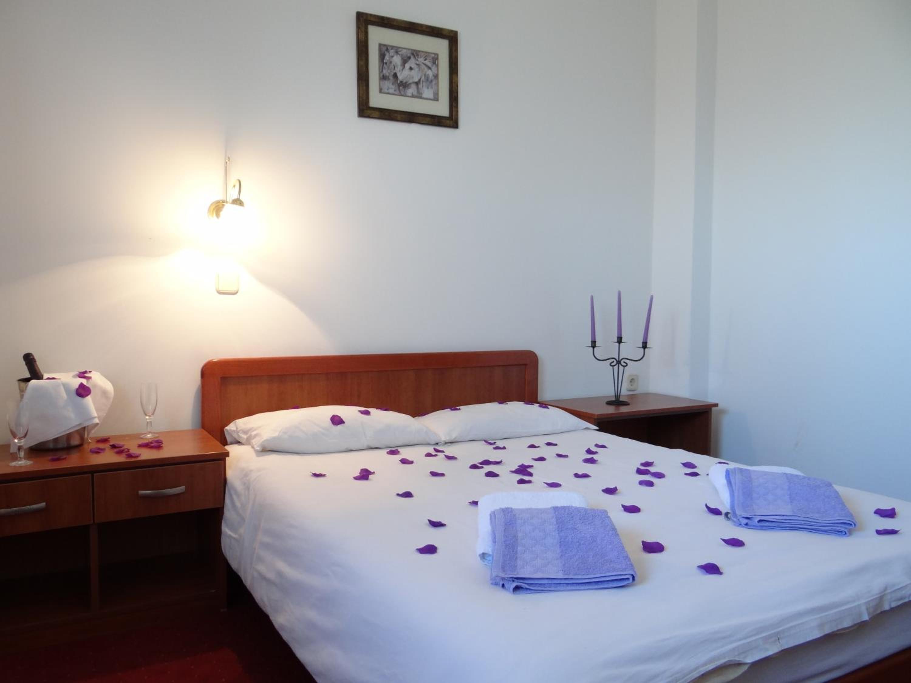 Double or Twin Room photo 3