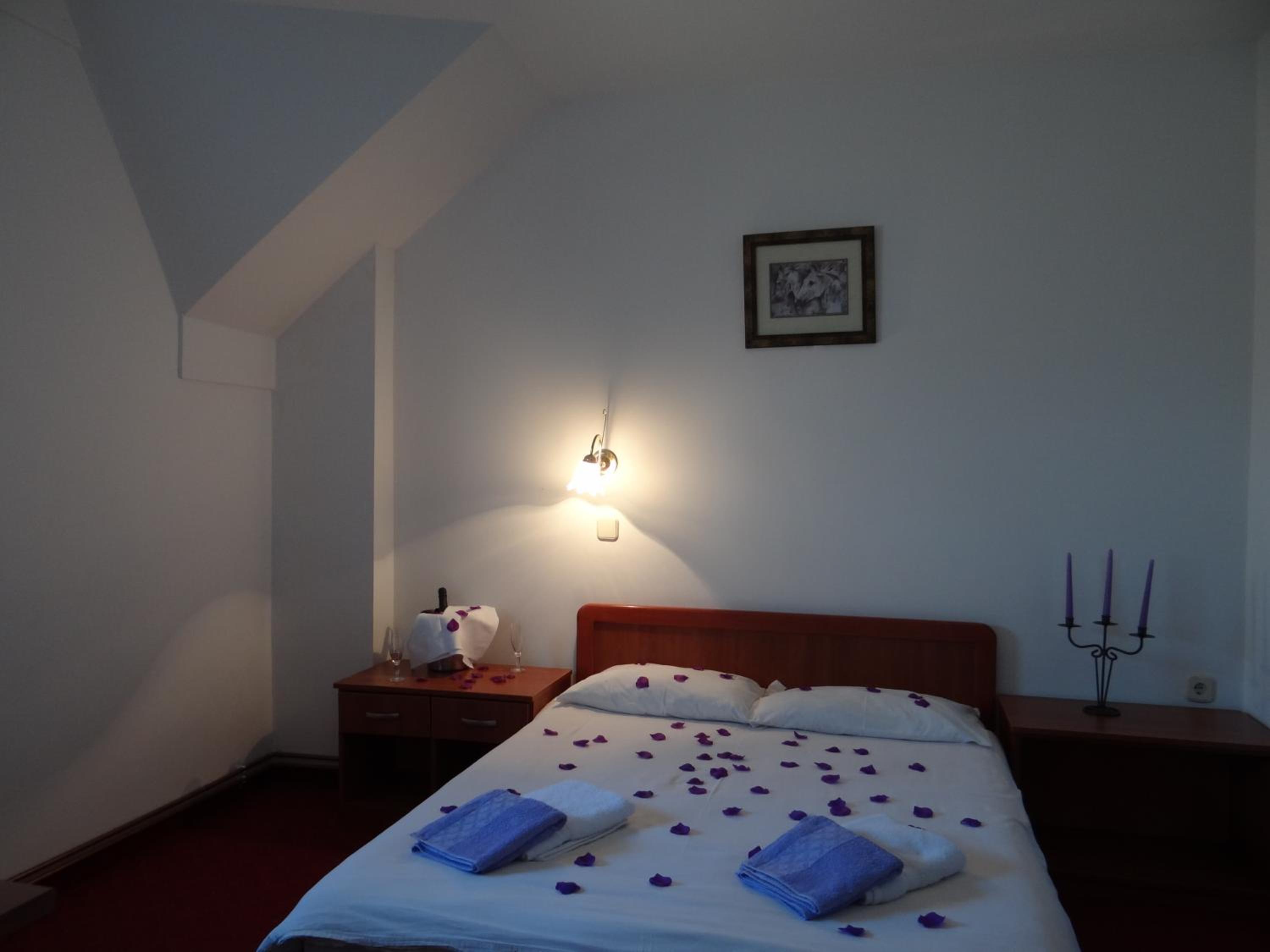 Double or Twin Room photo 2