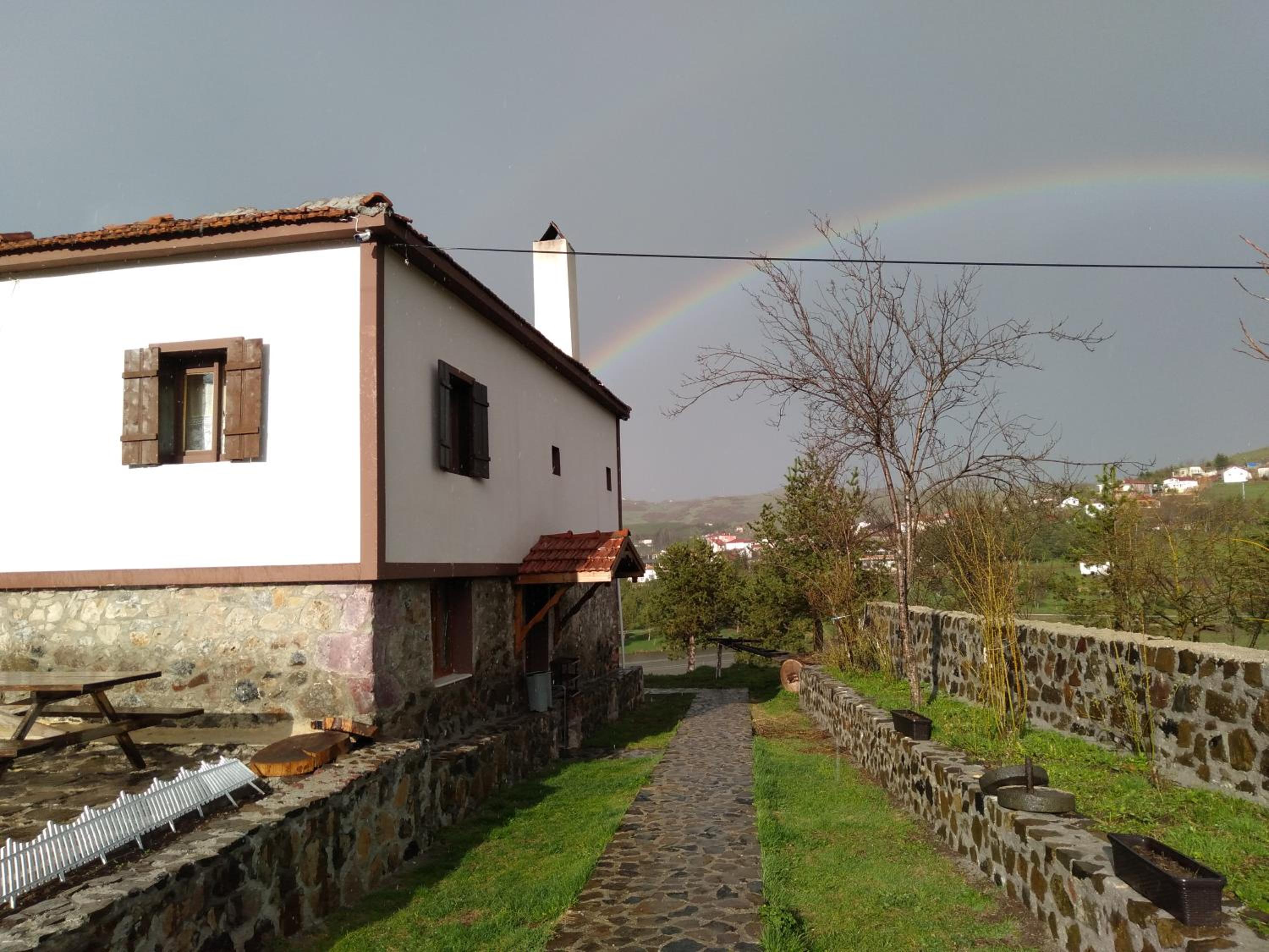 Vacation Home photo 3
