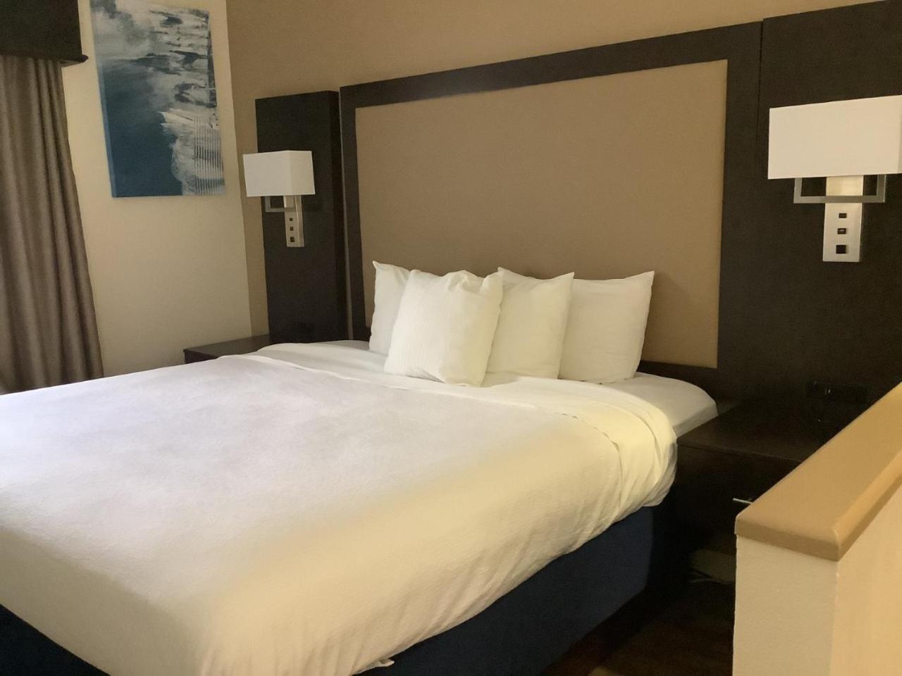King Suite with Sofa Bed and Wet Bar - Non-Smoking photo 2