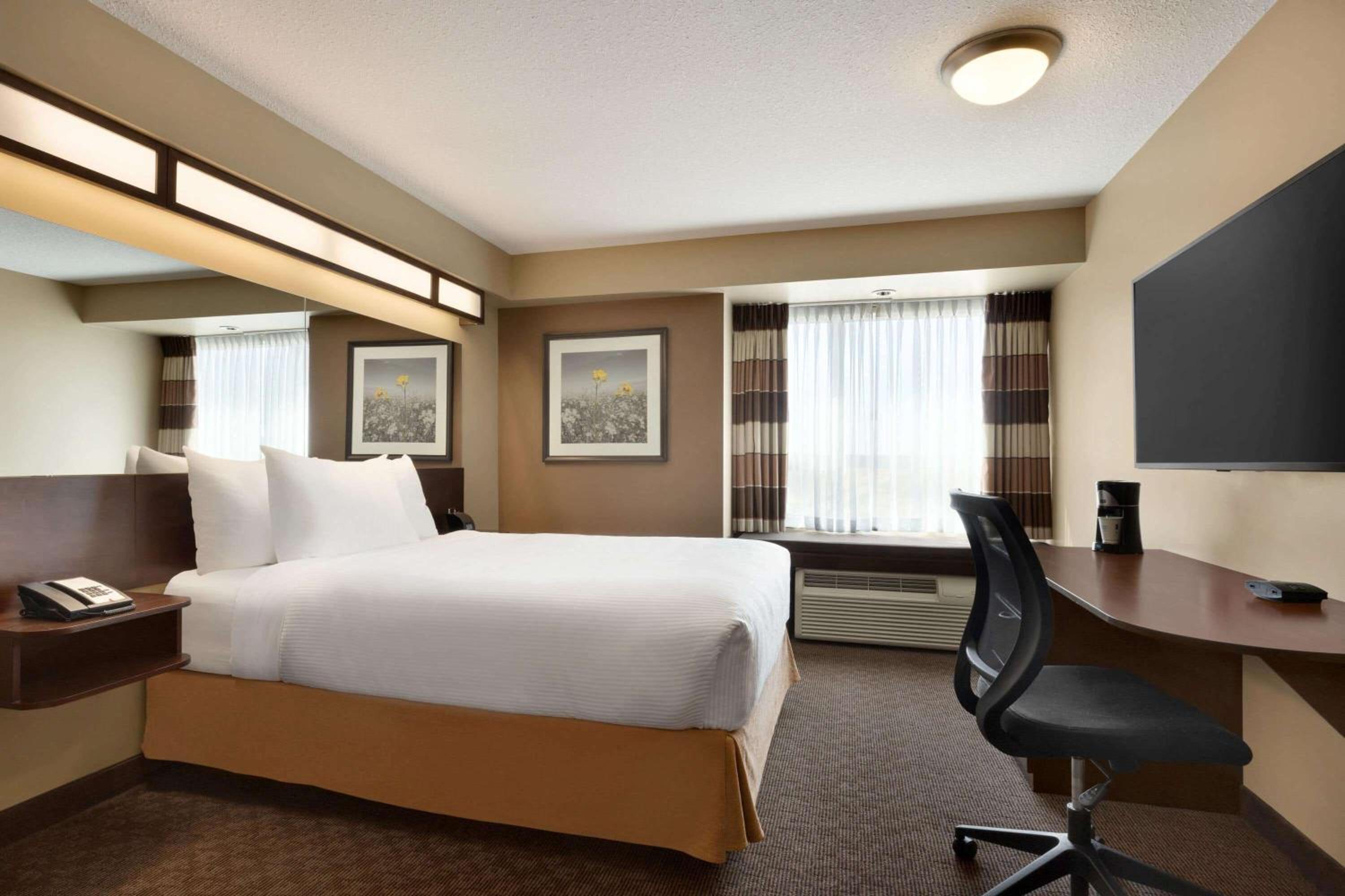 Queen Room with Roll-In Shower - Mobility Accessible/Non-Smoking photo 1