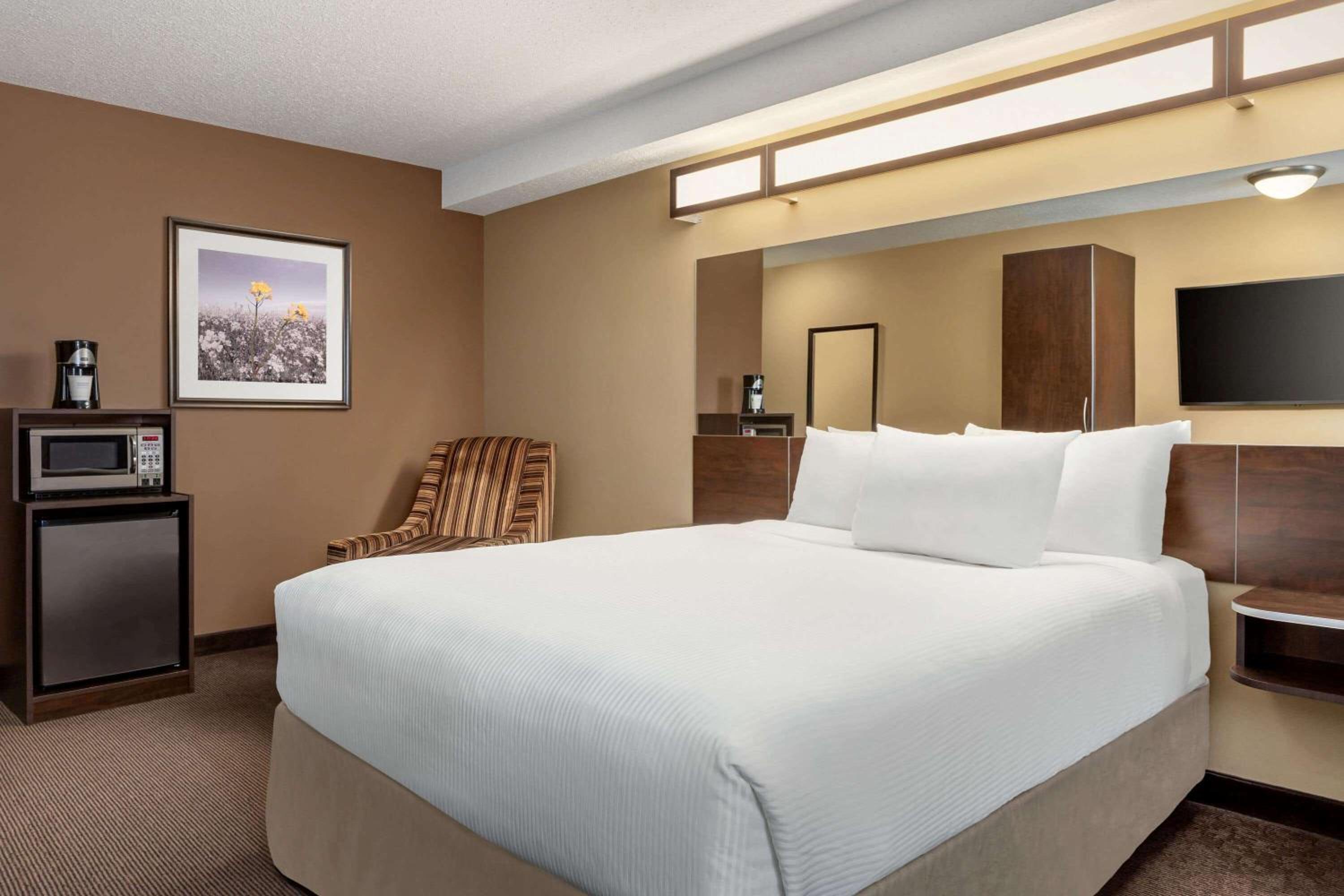Queen Room with Roll-In Shower - Mobility Accessible/Non-Smoking - Photo 1