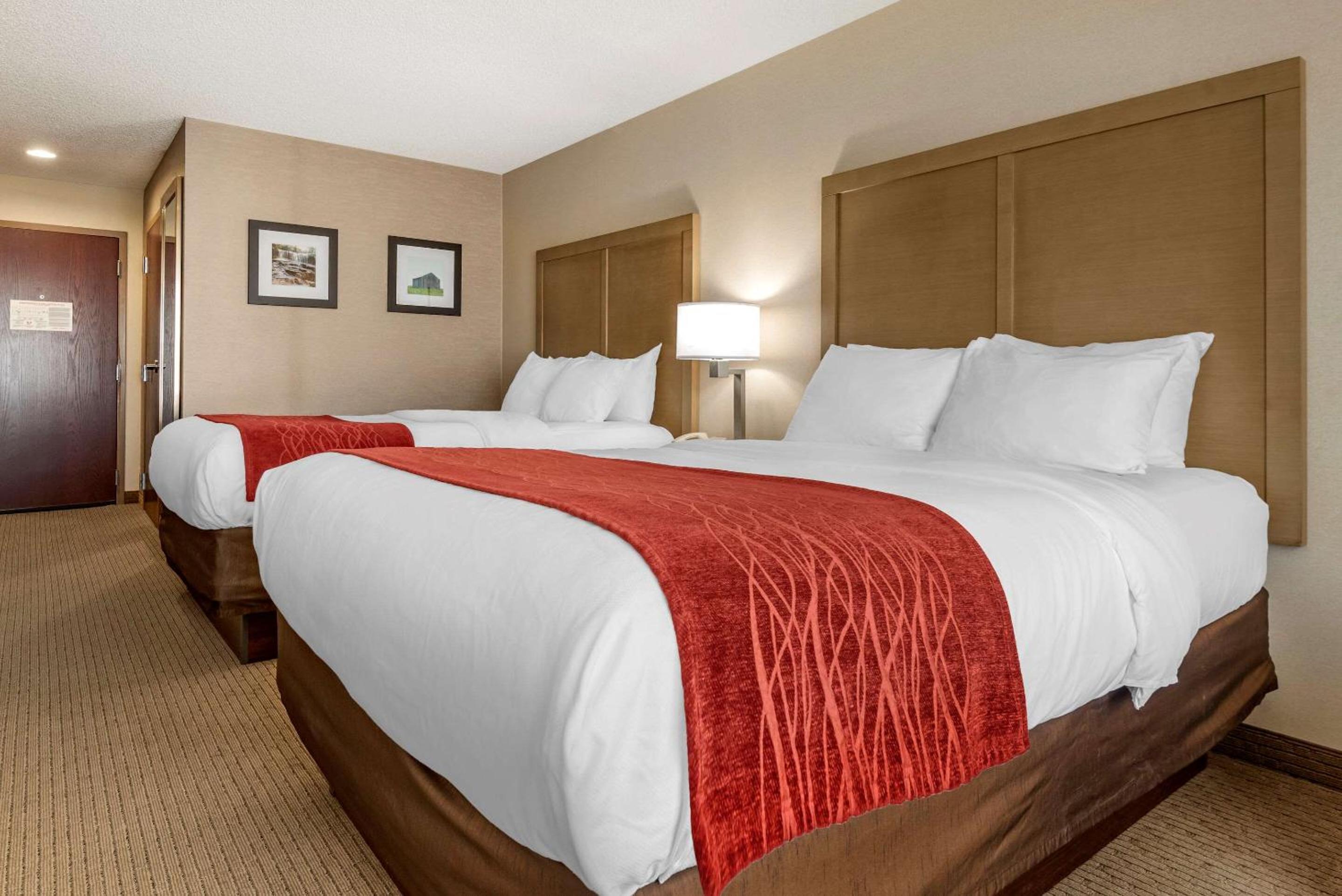 Queen Room with Two Queen Beds - Non-Smoking - Photo 4