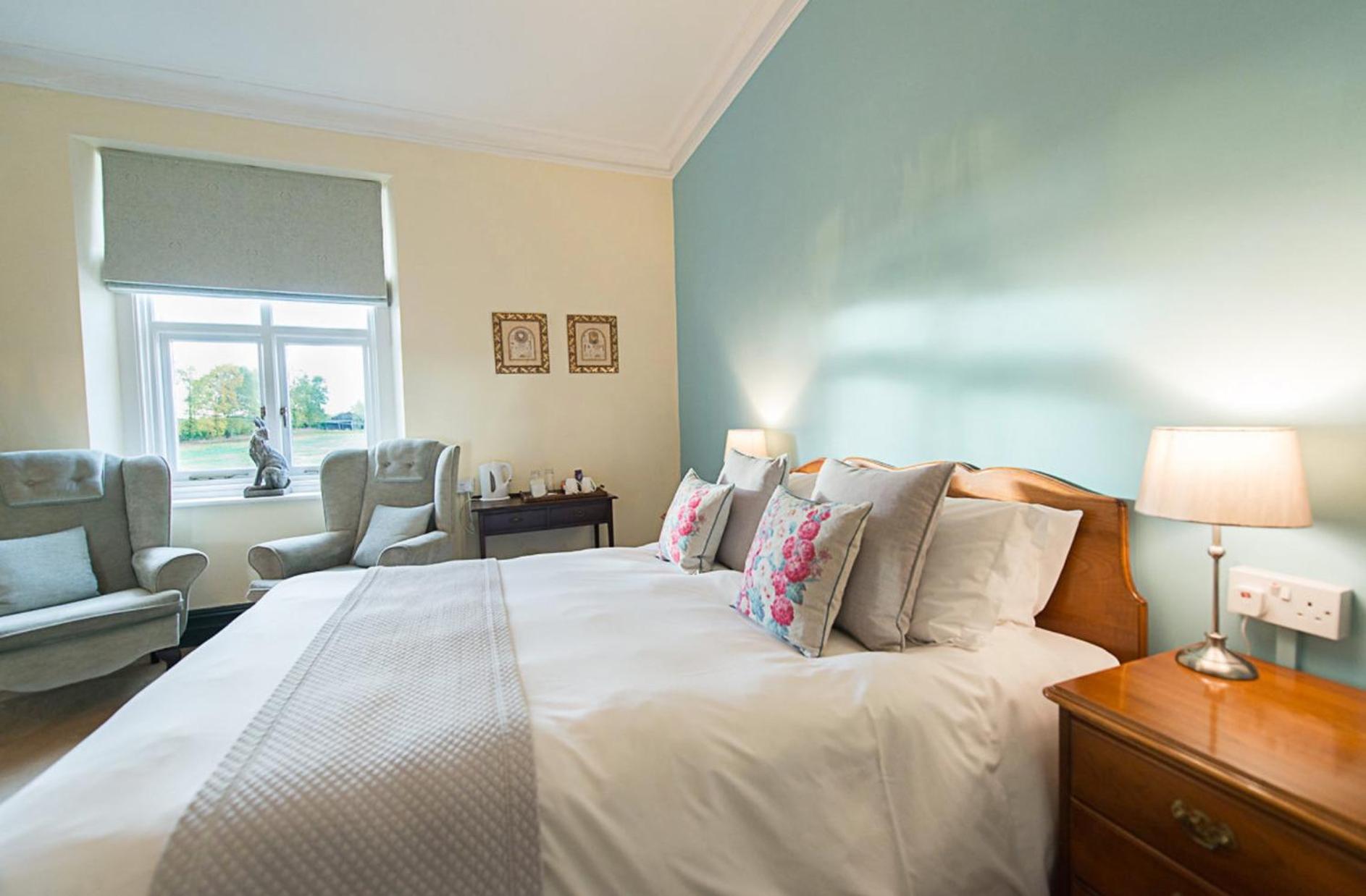 Standard King Room photo 1