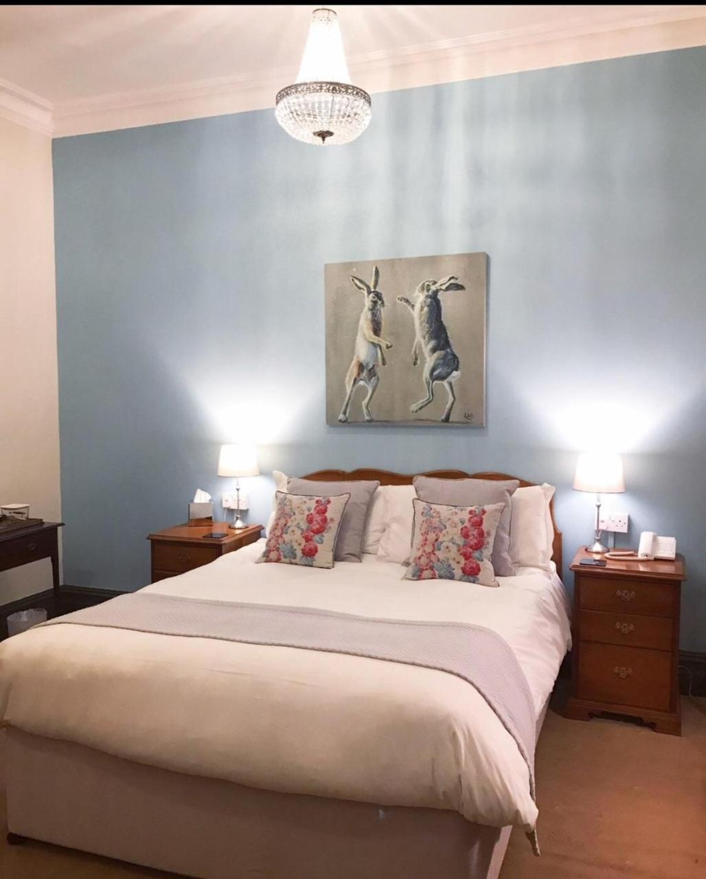 Standard King Room photo 2
