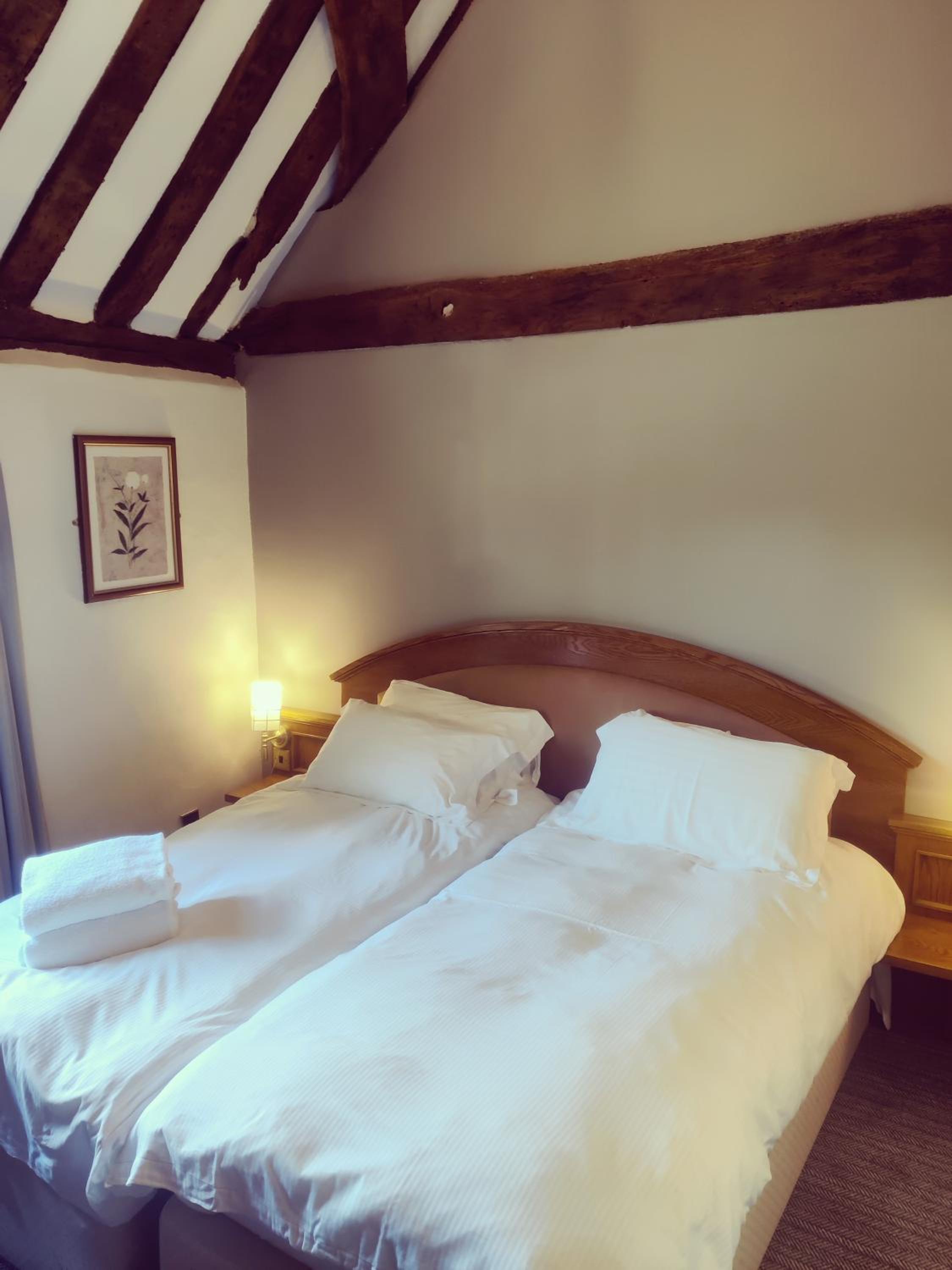 Standard Twin Room photo 1