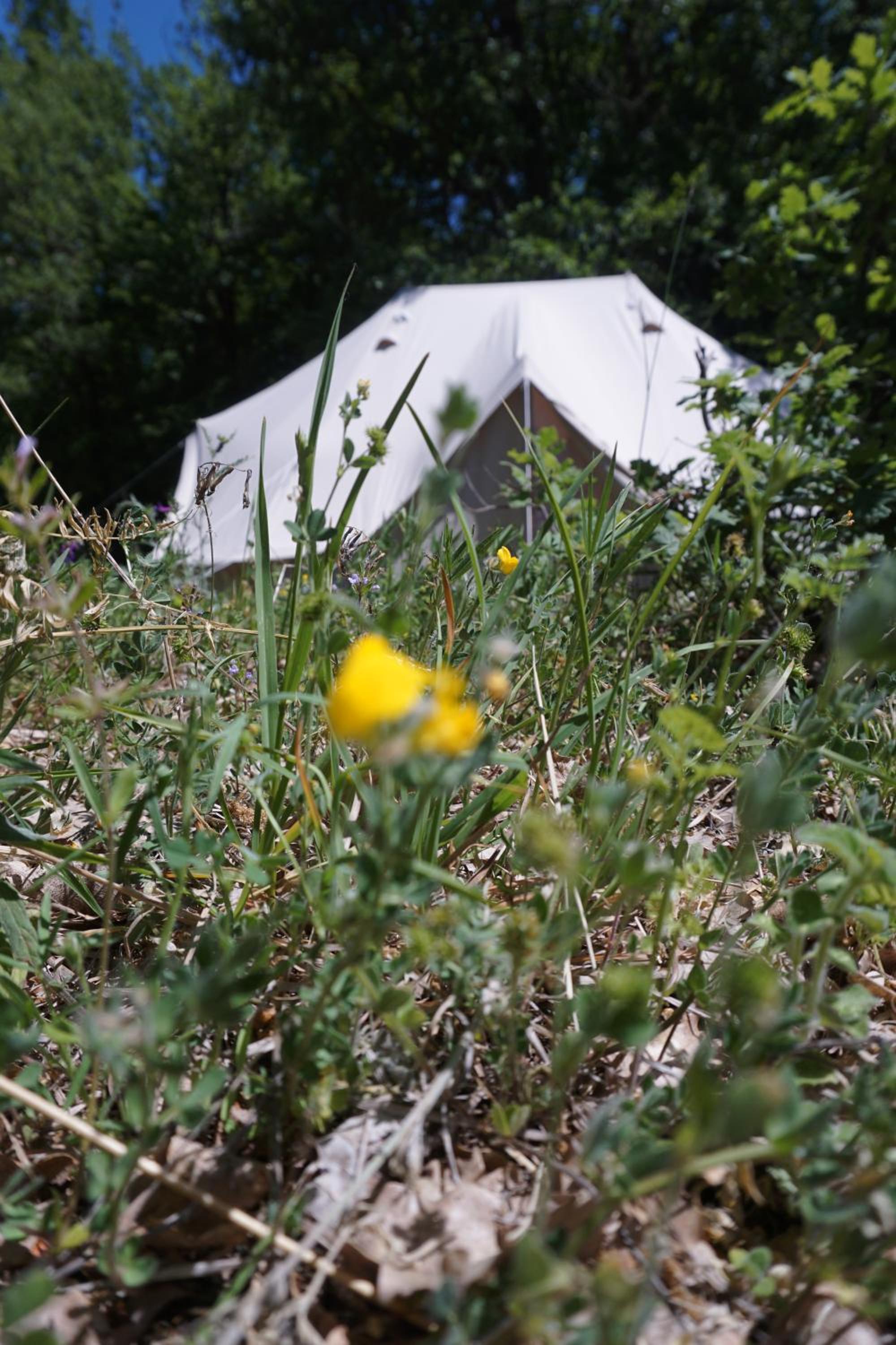 Tent - Photo 8