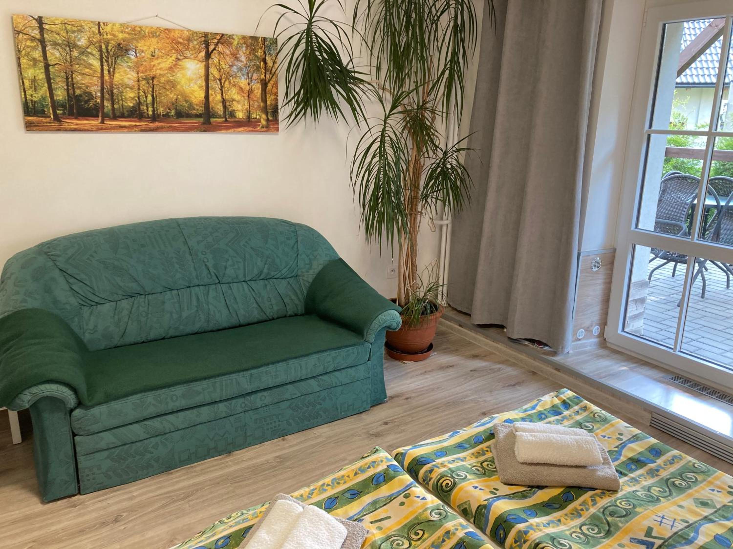 Apartment with Terrace photo 3