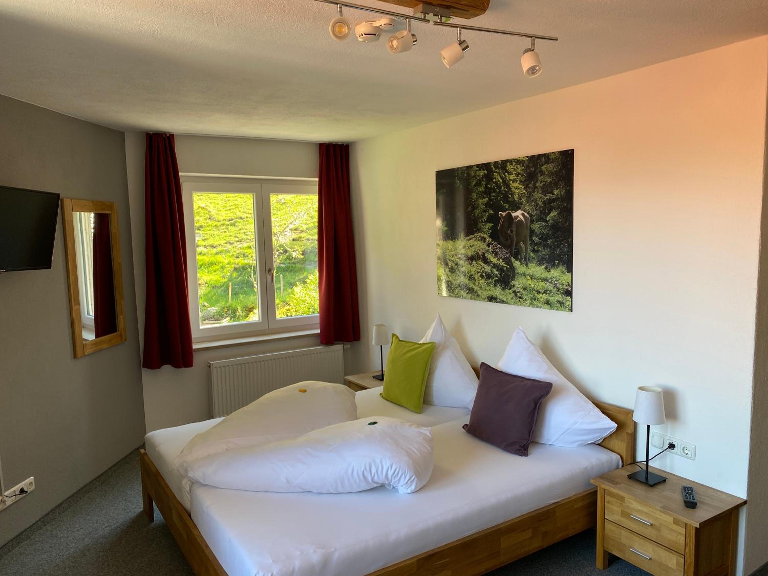 Double Room with Balcony photo 2