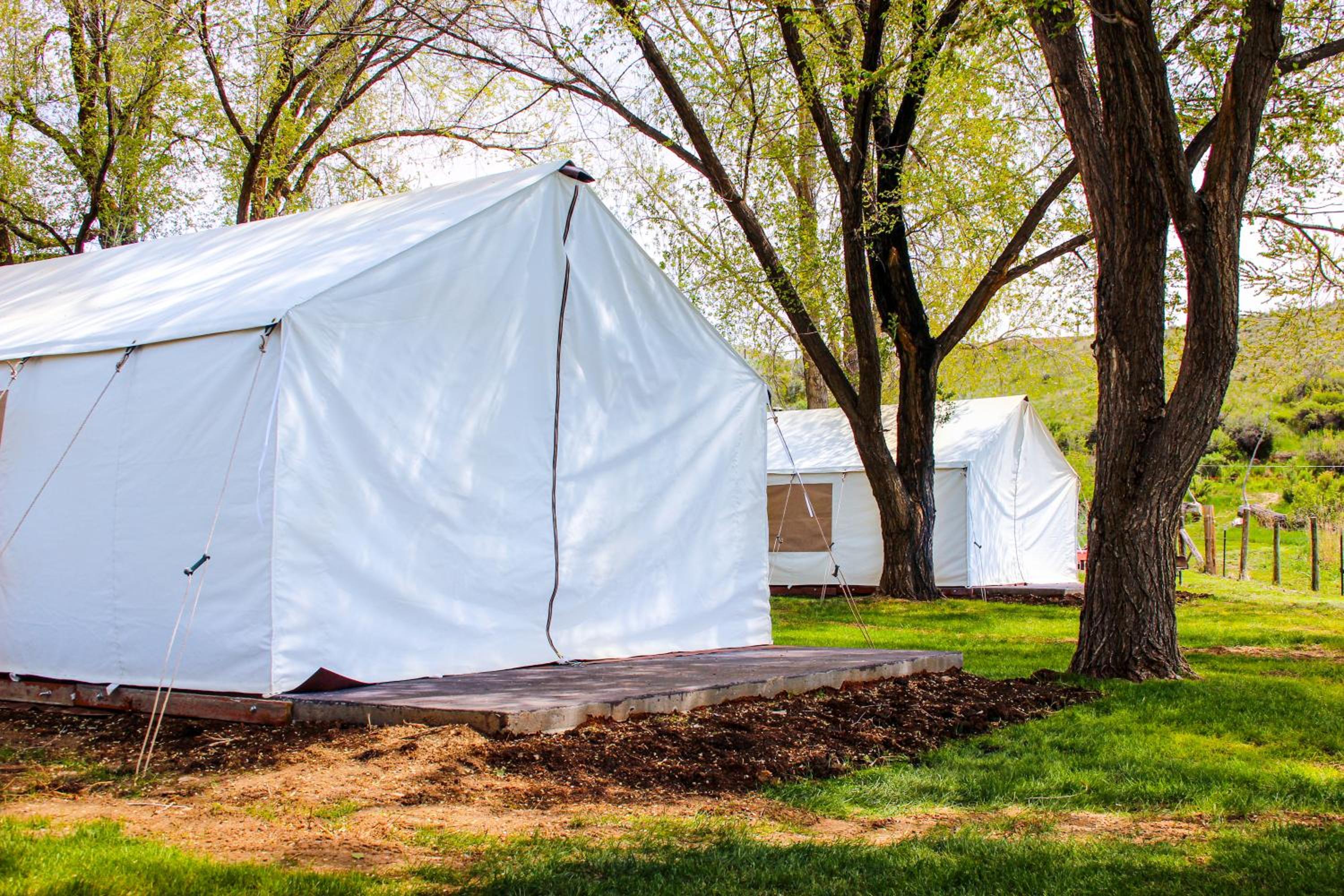Tent photo 2