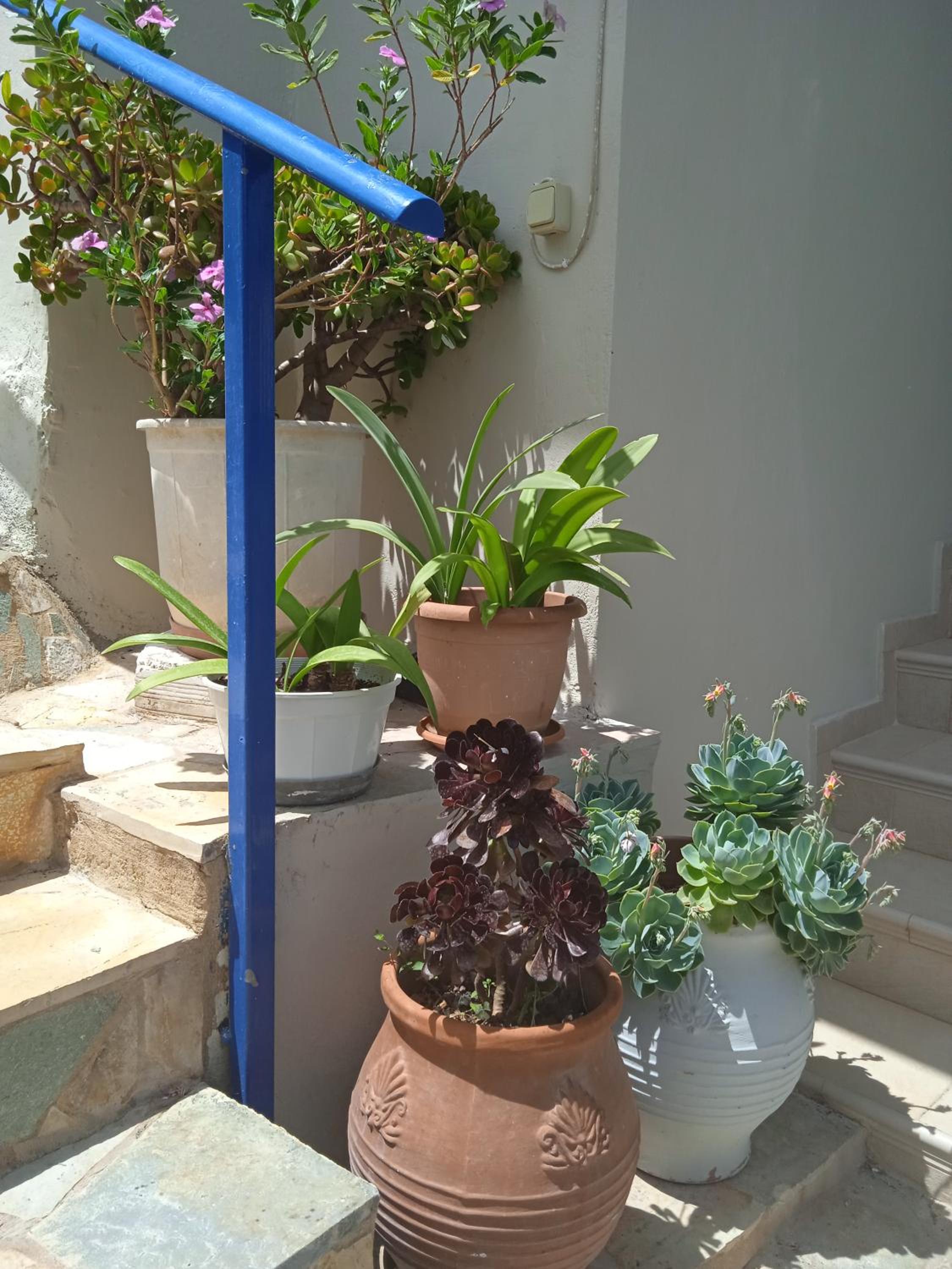 Apartment with Sea View - Photo 7